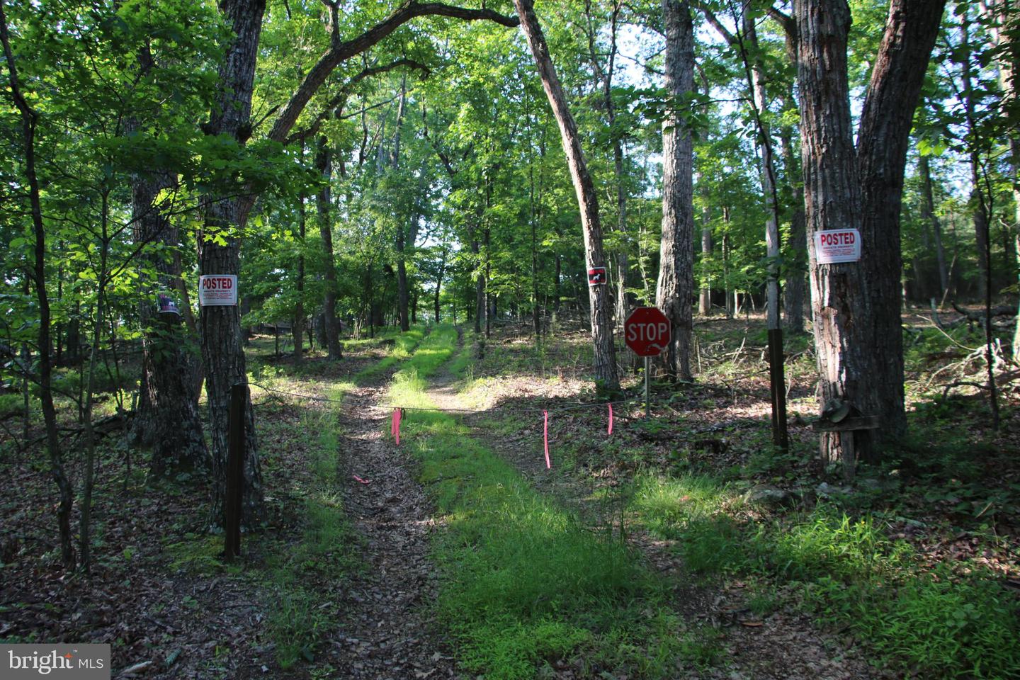 EASTER RIDGE LOT 7A LN, WINCHESTER, Virginia 22603, ,Land,For Sale,EASTER RIDGE LOT 7A LN,VAFV2034376 MLS # VAFV2034376