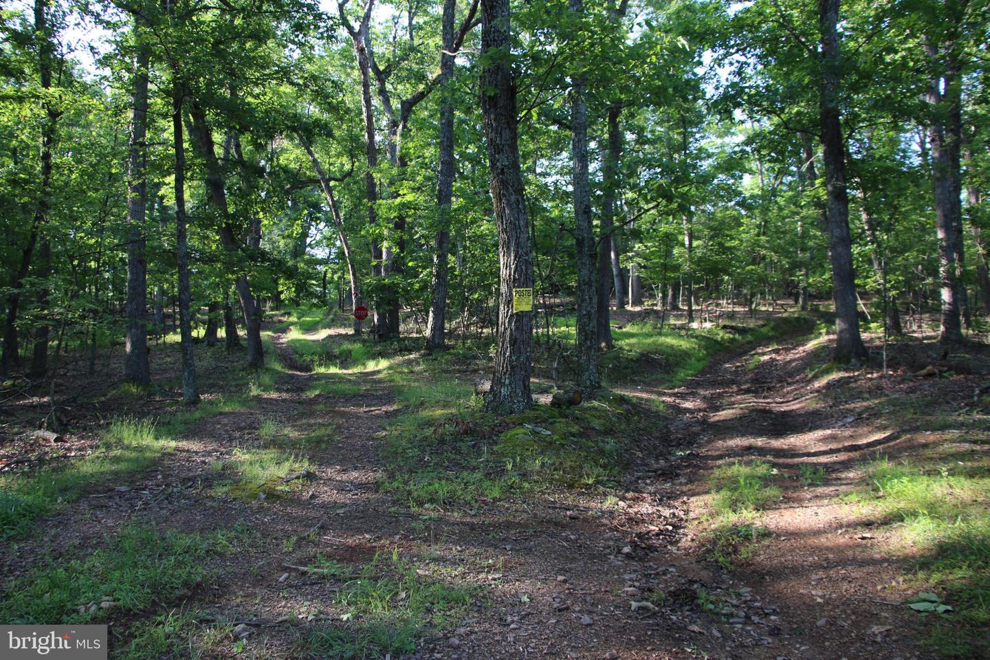 EASTER RIDGE LOT 7A LN, WINCHESTER, Virginia 22603, ,Land,For Sale,EASTER RIDGE LOT 7A LN,VAFV2034376 MLS # VAFV2034376