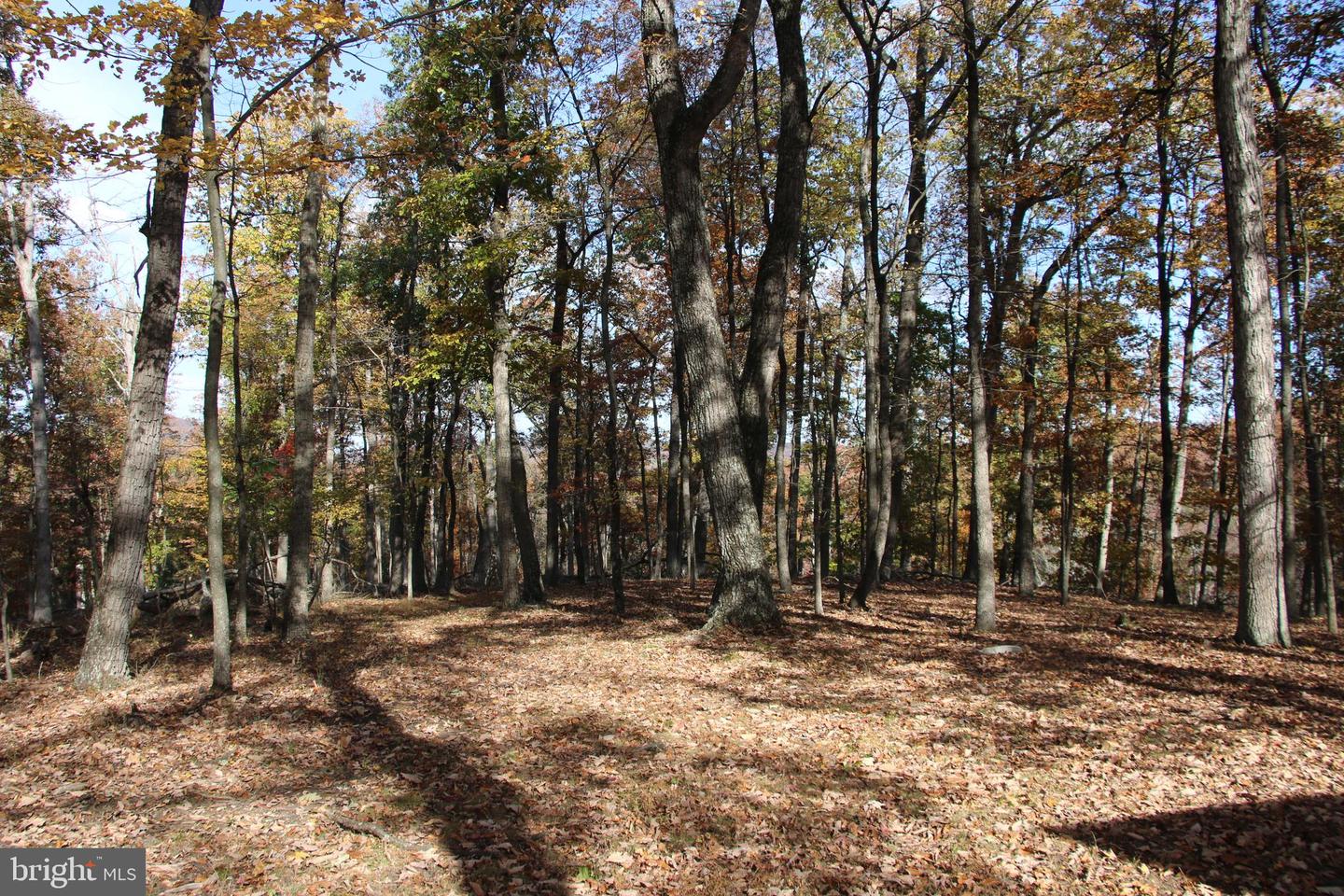 EASTER RIDGE LOT 7A LN, WINCHESTER, Virginia 22603, ,Land,For Sale,EASTER RIDGE LOT 7A LN,VAFV2034376 MLS # VAFV2034376