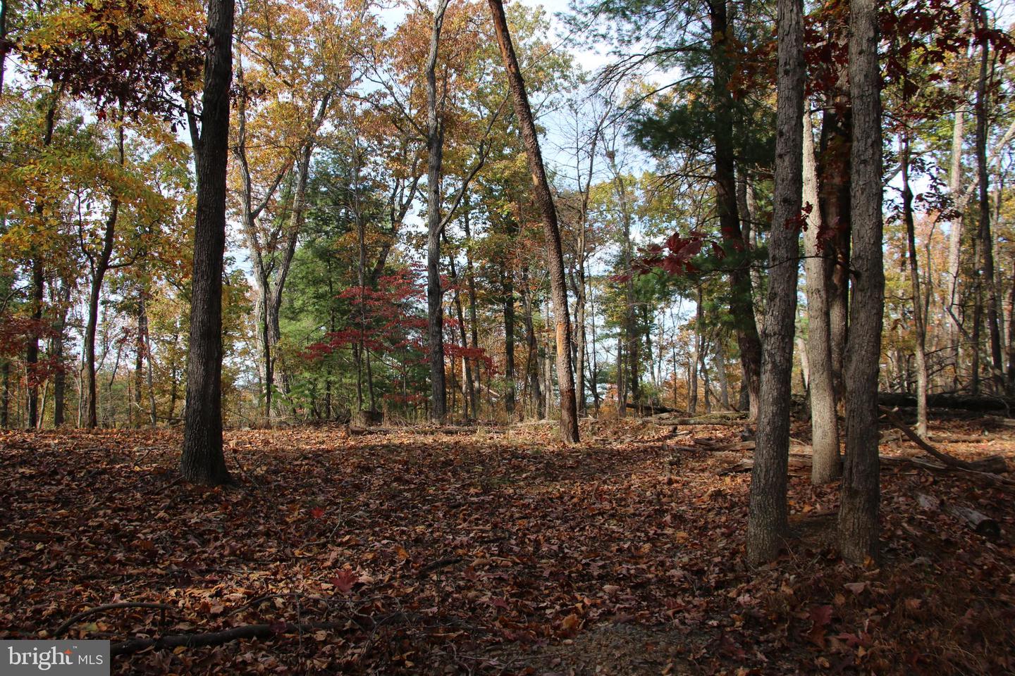 EASTER RIDGE LOT 7A LN, WINCHESTER, Virginia 22603, ,Land,For Sale,EASTER RIDGE LOT 7A LN,VAFV2034376 MLS # VAFV2034376