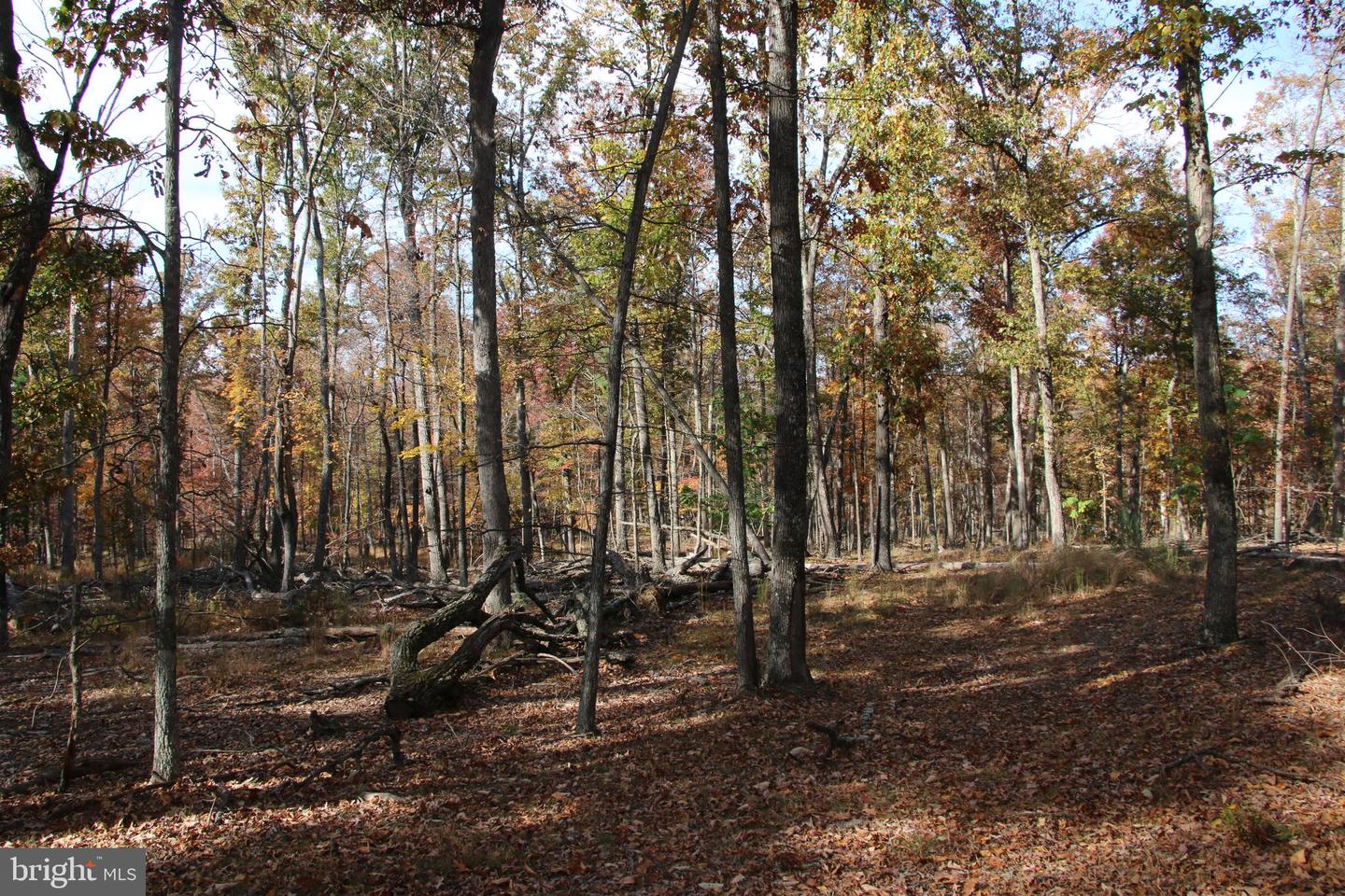 EASTER RIDGE LOT 7A LN, WINCHESTER, Virginia 22603, ,Land,For Sale,EASTER RIDGE LOT 7A LN,VAFV2034376 MLS # VAFV2034376