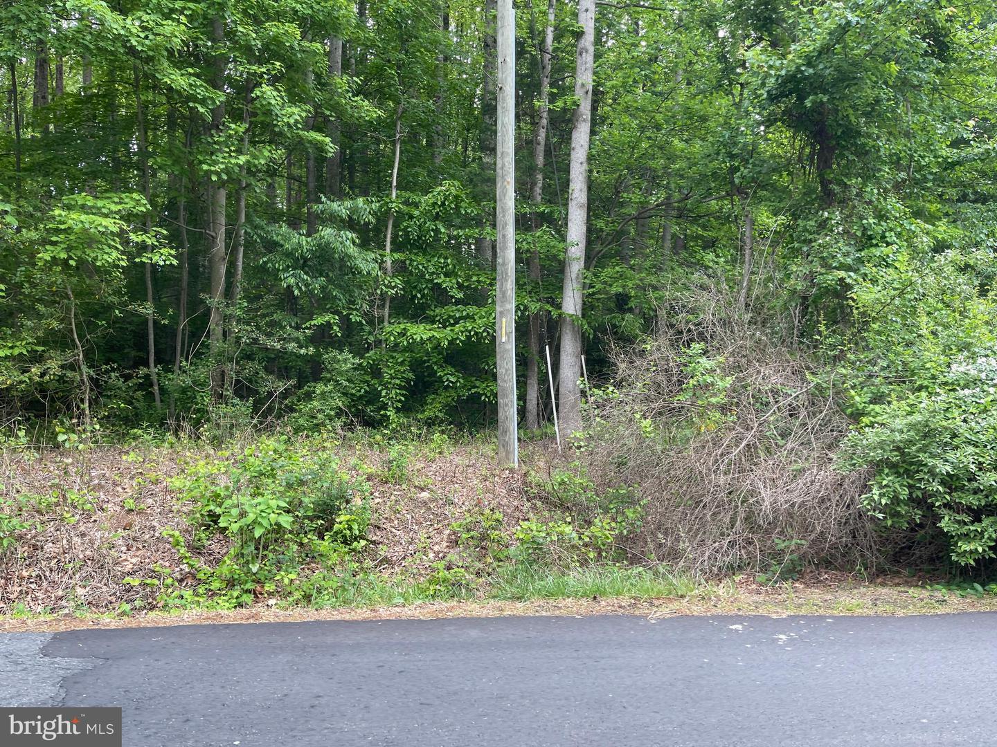 23360 MONROVIA RD, ORANGE, Virginia 22960, ,Farm,For Sale,23360 MONROVIA RD,VAOR2009416 MLS # VAOR2009416