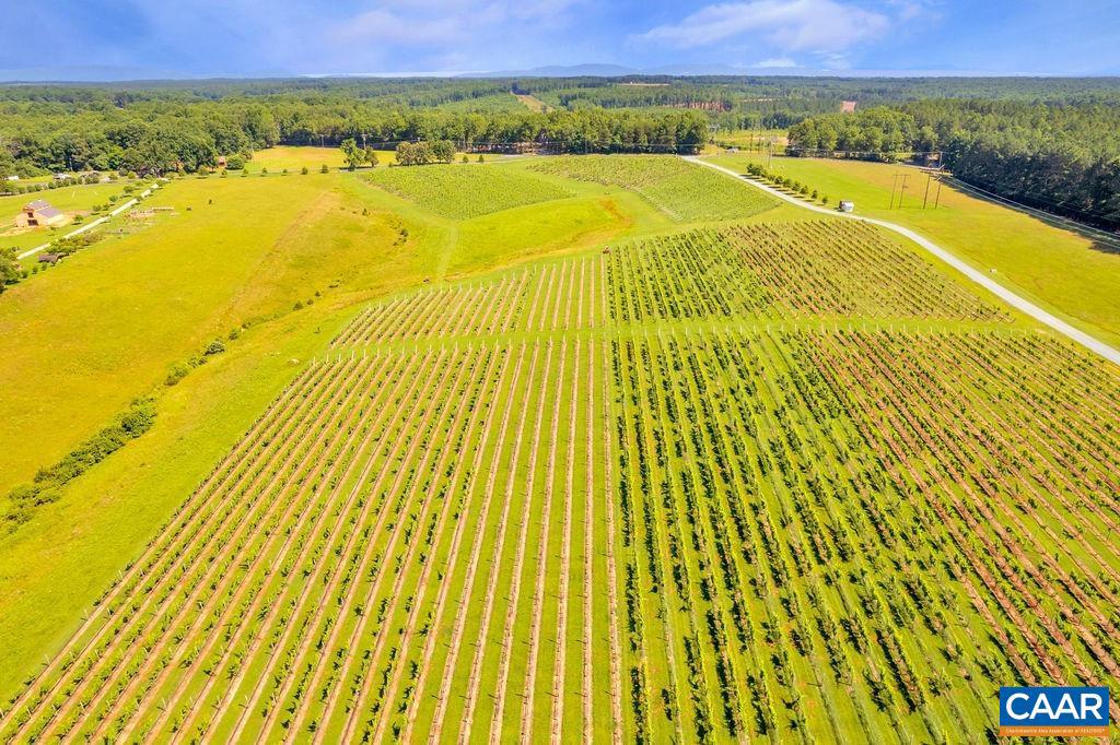 3304A RURITAN LAKE RD, PALMYRA, Virginia 22963, ,Farm,For Sale,3304A RURITAN LAKE RD,645193 MLS # 645193 3304A RURITAN LAKE RD, PALMYRA, Virginia 22963, ,Farm,For Sale,3304A RURITAN LAKE RD,645193 MLS # 645193