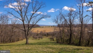0 HOLMAN CREEK LN TIMBERVILLE Virginia 22853