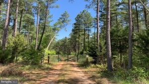 HUNTERS ROAD (RT. 736) (BK1442-1 TRACT) RED HOUSE Virginia 23963