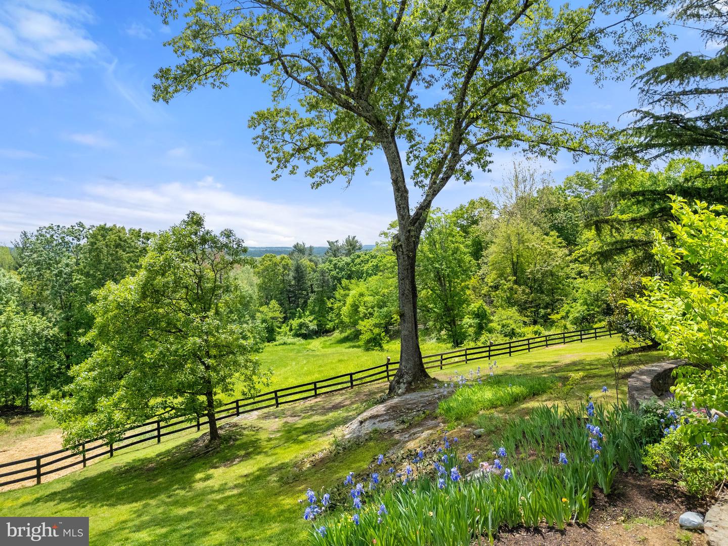 4392 CARRINGTON RD, MARKHAM, Virginia 22643, 4 Bedrooms Bedrooms, ,4 BathroomsBathrooms,Residential,For Sale,4392 CARRINGTON RD,VAFQ2016408 MLS # VAFQ2016408