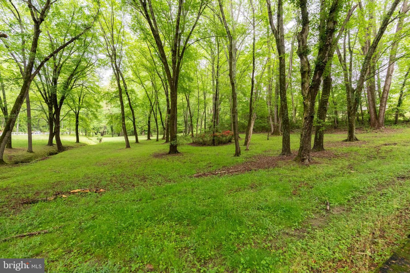 11123 POPES HEAD RD, FAIRFAX, Virginia 22030, ,Land,For Sale,11123 POPES HEAD RD,VAFX2240758 MLS # VAFX2240758 11123 POPES HEAD RD, FAIRFAX, Virginia 22030, ,Land,For Sale,11123 POPES HEAD RD,VAFX2240758 MLS # VAFX2240758