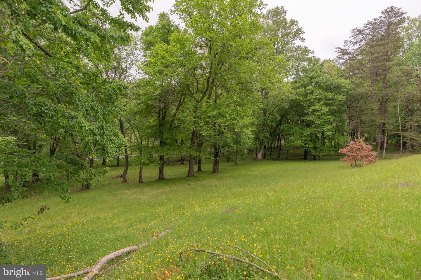 11123 POPES HEAD RD, FAIRFAX, Virginia 22030, ,Land,For Sale,11123 POPES HEAD RD,VAFX2240758 MLS # VAFX2240758 11123 POPES HEAD RD, FAIRFAX, Virginia 22030, ,Land,For Sale,11123 POPES HEAD RD,VAFX2240758 MLS # VAFX2240758