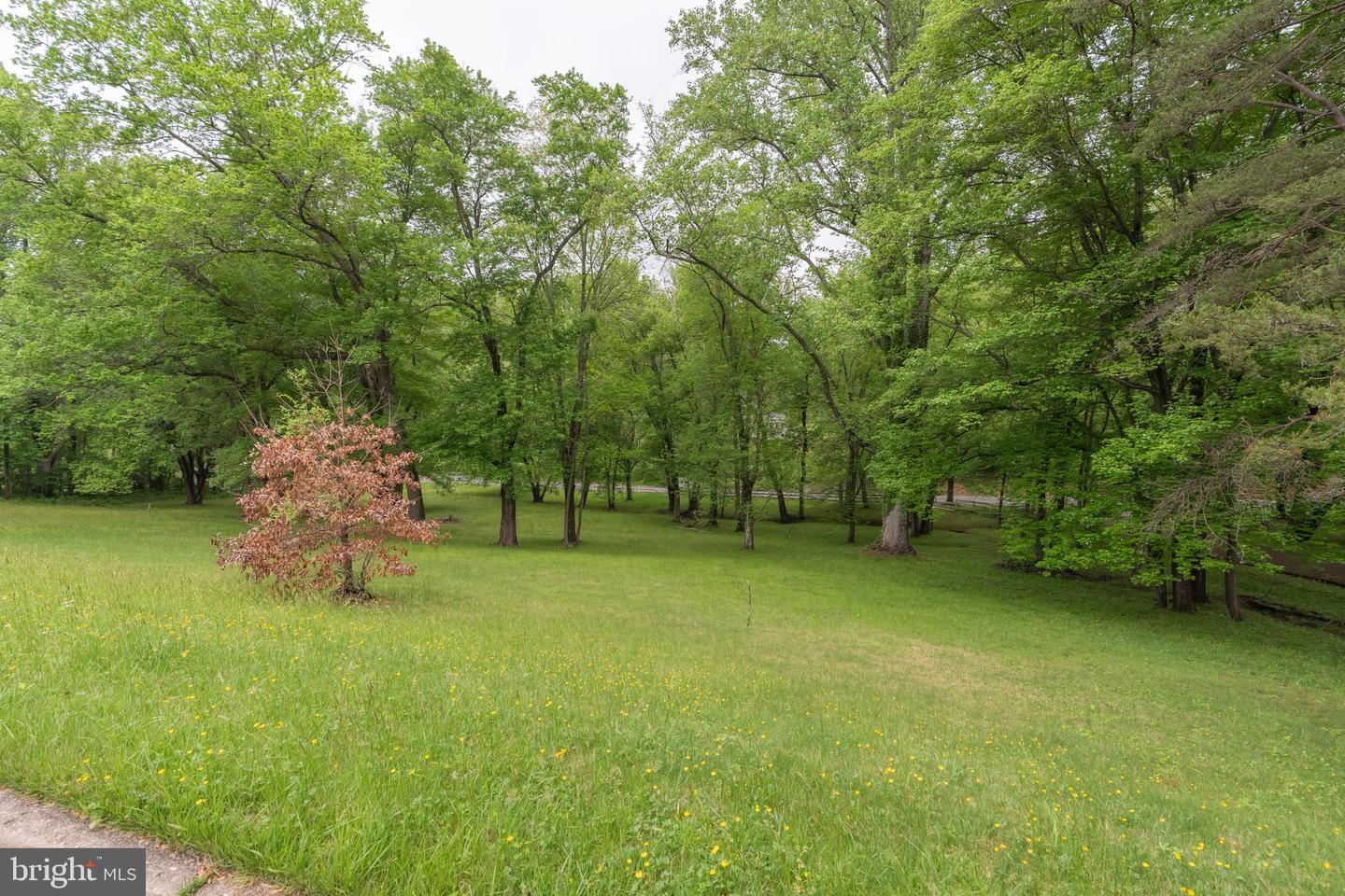 11123 POPES HEAD RD, FAIRFAX, Virginia 22030, ,Land,For Sale,11123 POPES HEAD RD,VAFX2240758 MLS # VAFX2240758 11123 POPES HEAD RD, FAIRFAX, Virginia 22030, ,Land,For Sale,11123 POPES HEAD RD,VAFX2240758 MLS # VAFX2240758