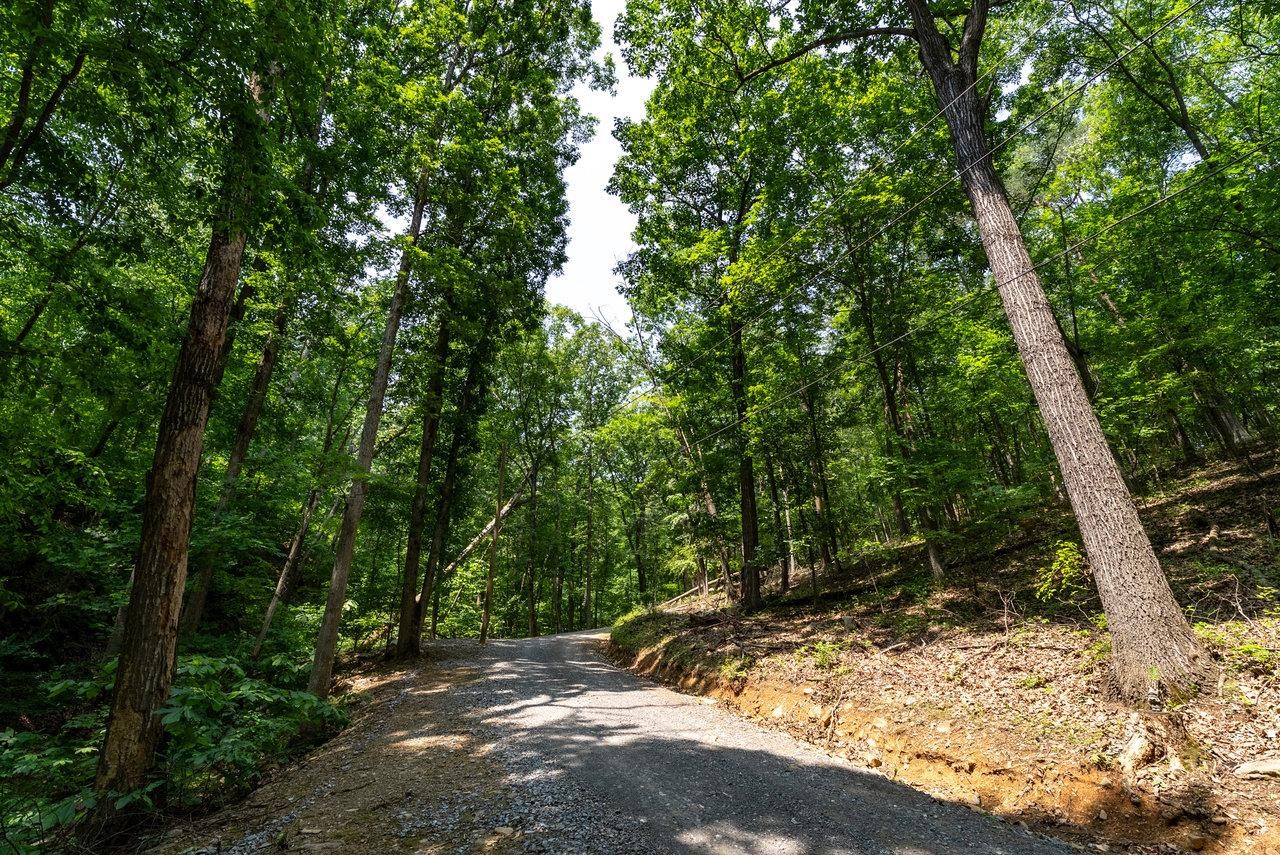 3940 US HWY 340, STANLEY, Virginia 22851, 1 Bedroom Bedrooms, ,2 BathroomsBathrooms,Residential,14,3940 US HWY 340,665496 MLS # 665496 3940 US HWY 340, STANLEY, Virginia 22851, 1 Bedroom Bedrooms, ,2 BathroomsBathrooms,Residential,14,3940 US HWY 340,665496 MLS # 665496