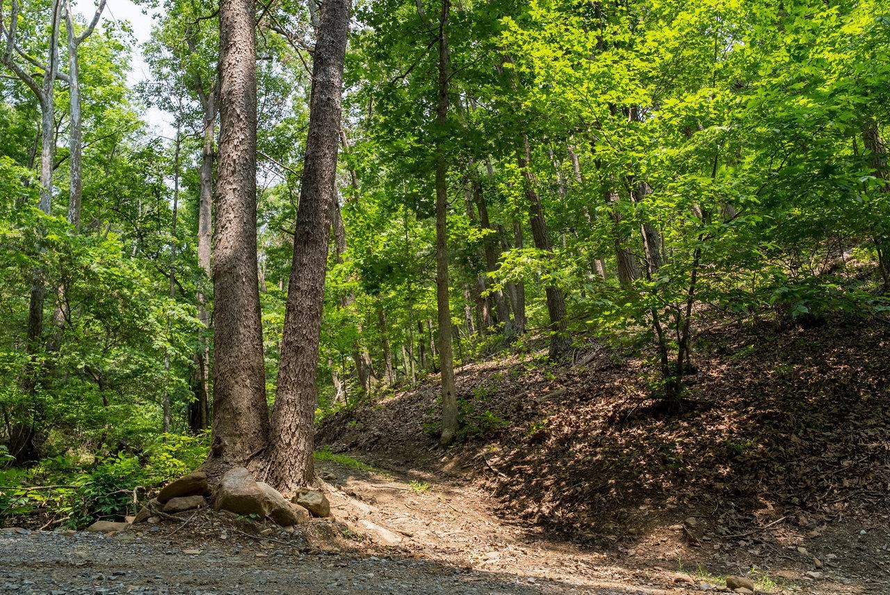 3940 US HWY 340, STANLEY, Virginia 22851, 1 Bedroom Bedrooms, ,2 BathroomsBathrooms,Residential,14,3940 US HWY 340,665496 MLS # 665496 3940 US HWY 340, STANLEY, Virginia 22851, 1 Bedroom Bedrooms, ,2 BathroomsBathrooms,Residential,14,3940 US HWY 340,665496 MLS # 665496