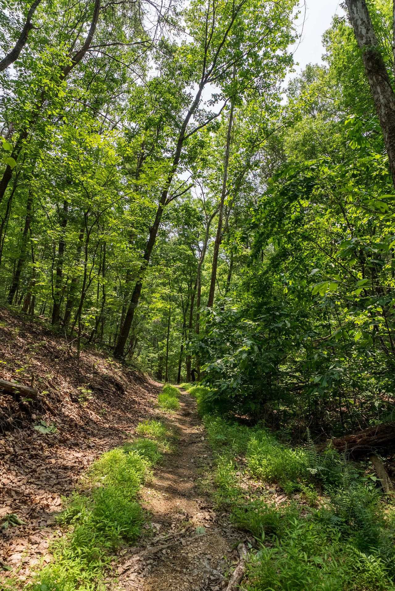 3940 US HWY 340, STANLEY, Virginia 22851, 1 Bedroom Bedrooms, ,2 BathroomsBathrooms,Residential,14,3940 US HWY 340,665496 MLS # 665496 3940 US HWY 340, STANLEY, Virginia 22851, 1 Bedroom Bedrooms, ,2 BathroomsBathrooms,Residential,14,3940 US HWY 340,665496 MLS # 665496