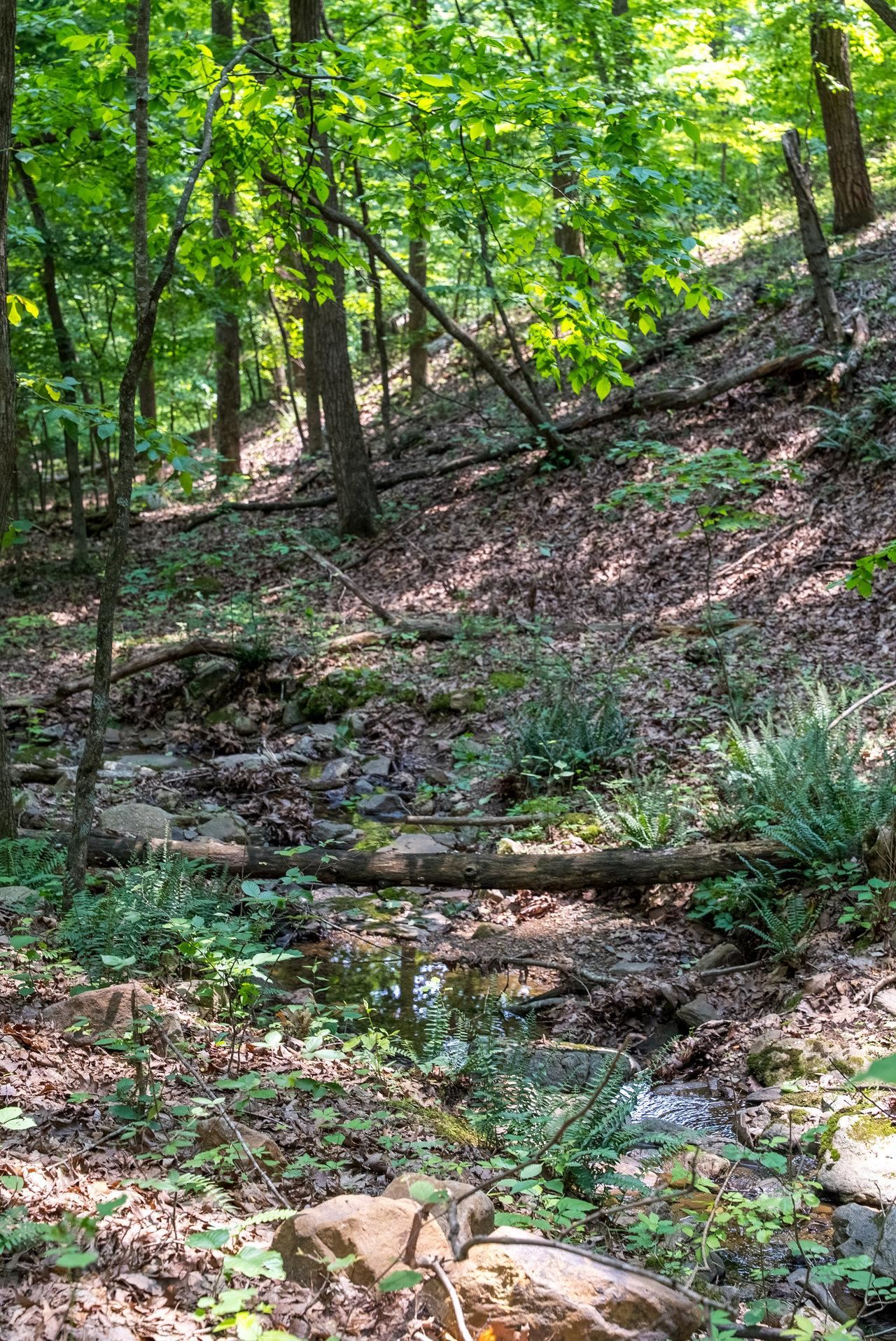 3940 US HWY 340, STANLEY, Virginia 22851, 1 Bedroom Bedrooms, ,2 BathroomsBathrooms,Residential,14,3940 US HWY 340,665496 MLS # 665496 3940 US HWY 340, STANLEY, Virginia 22851, 1 Bedroom Bedrooms, ,2 BathroomsBathrooms,Residential,14,3940 US HWY 340,665496 MLS # 665496