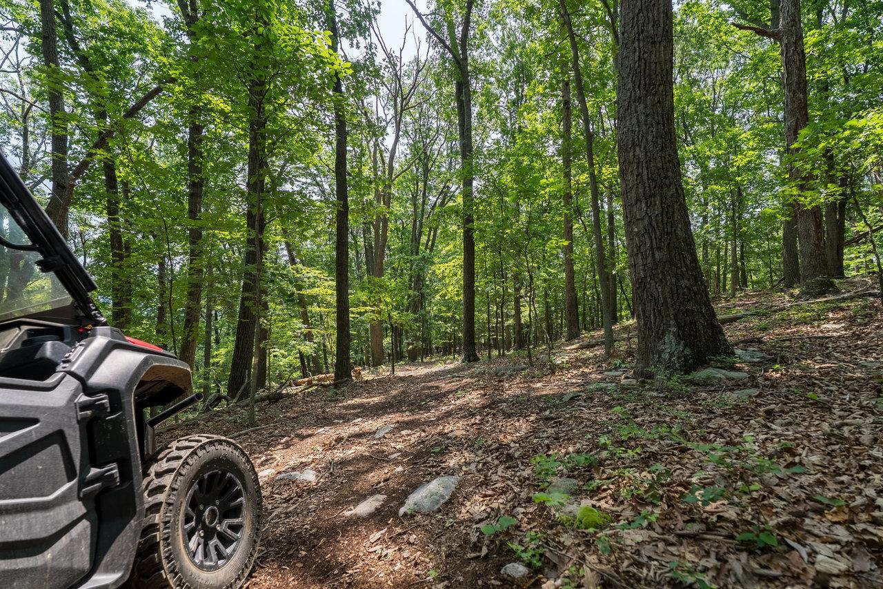 3940 US HWY 340, STANLEY, Virginia 22851, 1 Bedroom Bedrooms, ,2 BathroomsBathrooms,Residential,14,3940 US HWY 340,665496 MLS # 665496 3940 US HWY 340, STANLEY, Virginia 22851, 1 Bedroom Bedrooms, ,2 BathroomsBathrooms,Residential,14,3940 US HWY 340,665496 MLS # 665496