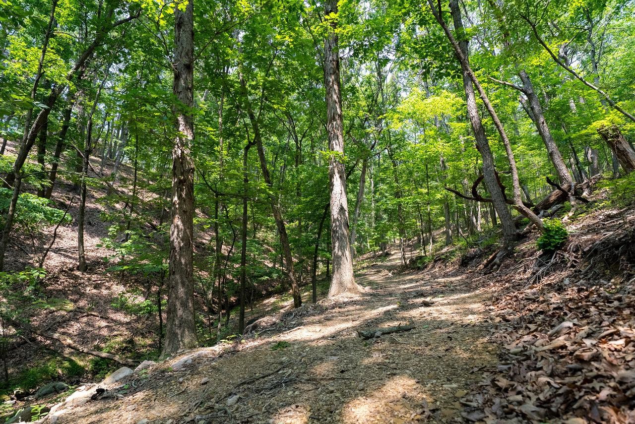 3940 US HWY 340, STANLEY, Virginia 22851, 1 Bedroom Bedrooms, ,2 BathroomsBathrooms,Residential,14,3940 US HWY 340,665496 MLS # 665496 3940 US HWY 340, STANLEY, Virginia 22851, 1 Bedroom Bedrooms, ,2 BathroomsBathrooms,Residential,14,3940 US HWY 340,665496 MLS # 665496