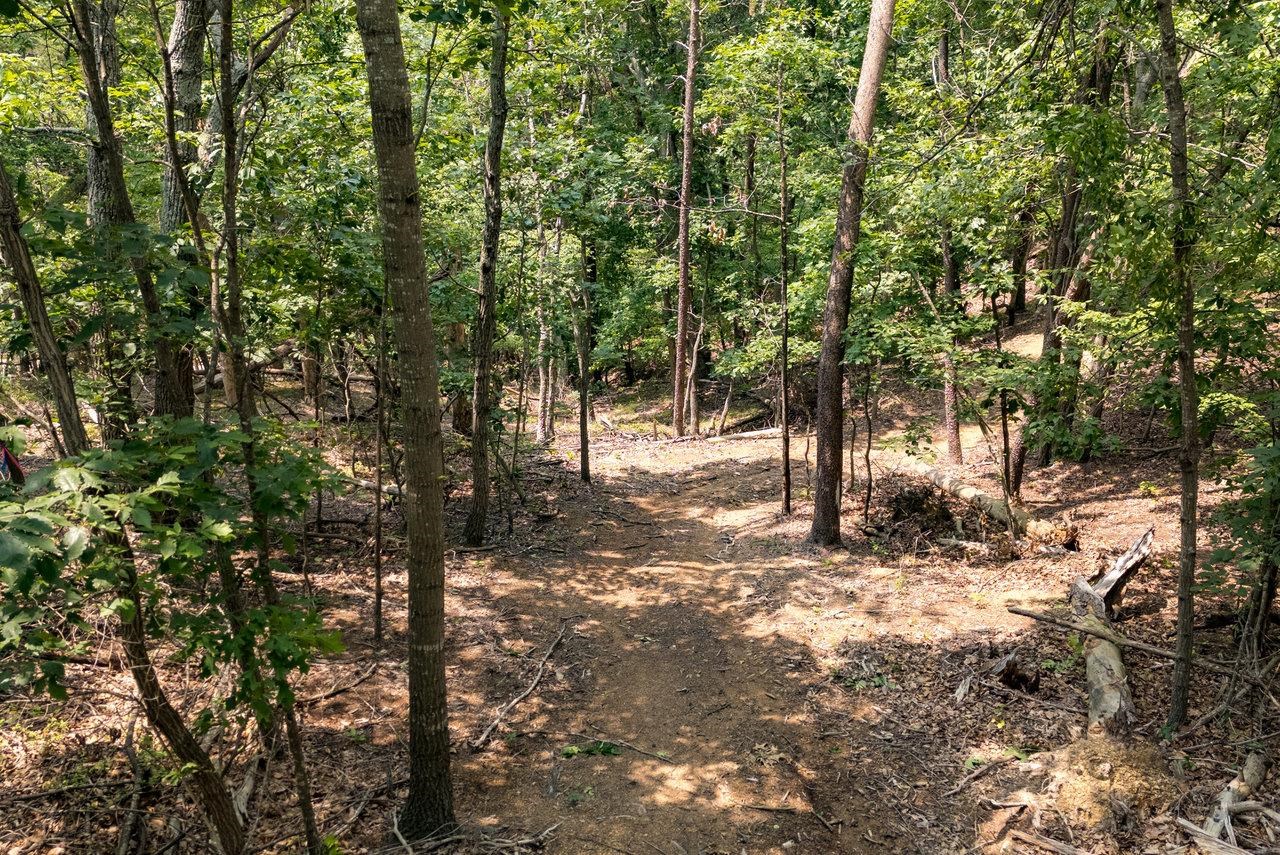 3940 US HWY 340, STANLEY, Virginia 22851, 1 Bedroom Bedrooms, ,2 BathroomsBathrooms,Residential,14,3940 US HWY 340,665496 MLS # 665496 3940 US HWY 340, STANLEY, Virginia 22851, 1 Bedroom Bedrooms, ,2 BathroomsBathrooms,Residential,14,3940 US HWY 340,665496 MLS # 665496