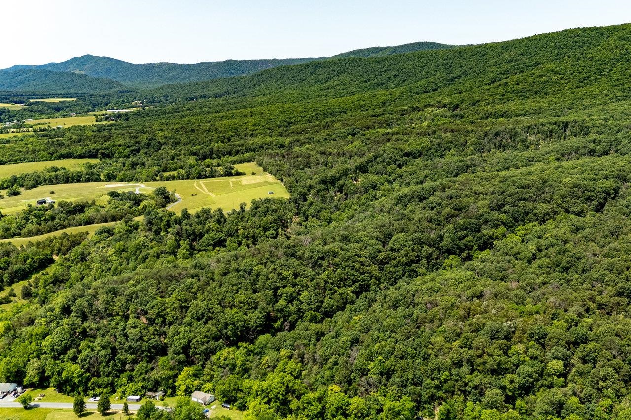 3940 US HWY 340, STANLEY, Virginia 22851, 1 Bedroom Bedrooms, ,2 BathroomsBathrooms,Residential,14,3940 US HWY 340,665496 MLS # 665496 3940 US HWY 340, STANLEY, Virginia 22851, 1 Bedroom Bedrooms, ,2 BathroomsBathrooms,Residential,14,3940 US HWY 340,665496 MLS # 665496