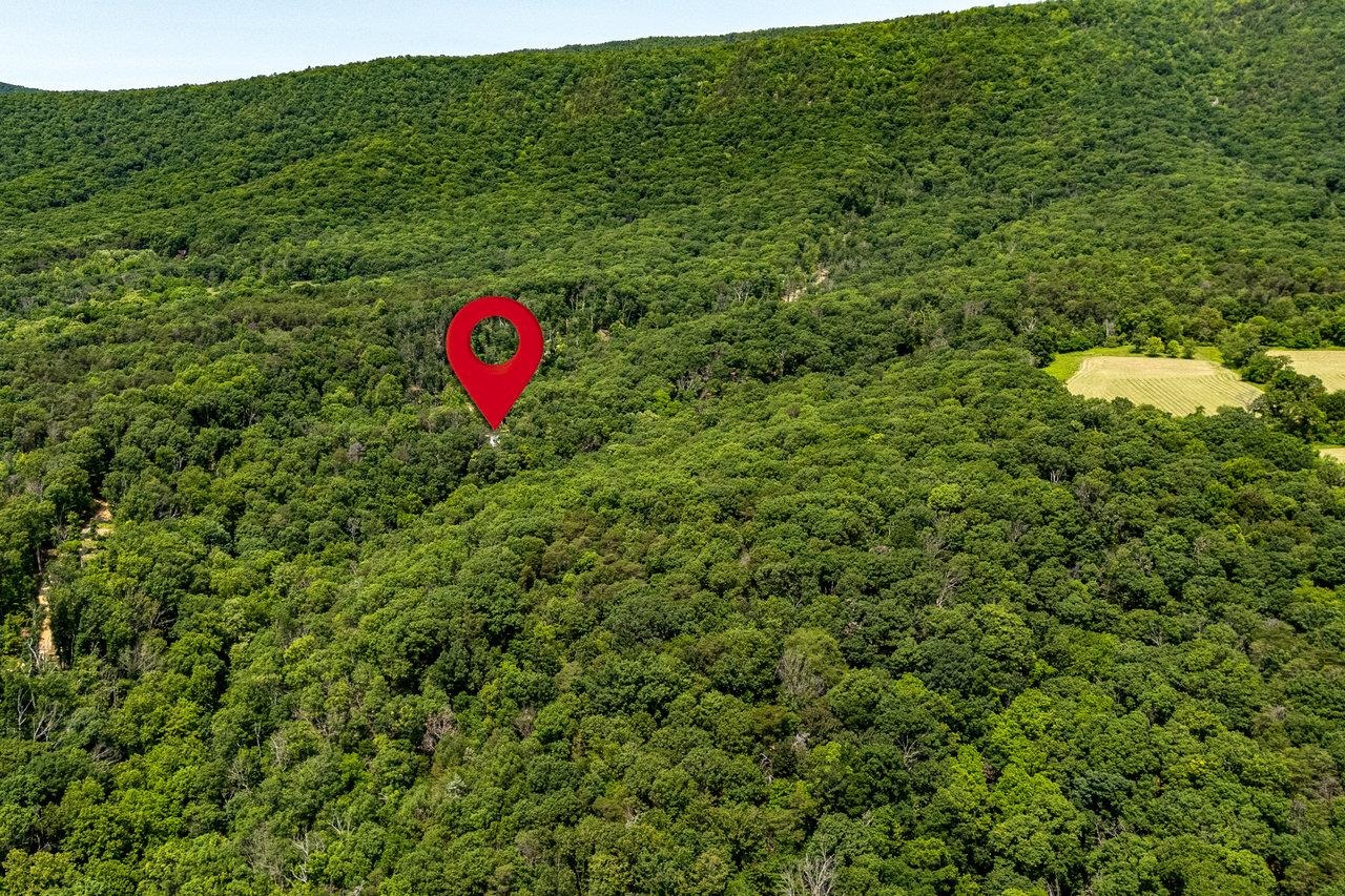 3940 US HWY 340, STANLEY, Virginia 22851, 1 Bedroom Bedrooms, ,2 BathroomsBathrooms,Residential,14,3940 US HWY 340,665496 MLS # 665496 3940 US HWY 340, STANLEY, Virginia 22851, 1 Bedroom Bedrooms, ,2 BathroomsBathrooms,Residential,14,3940 US HWY 340,665496 MLS # 665496