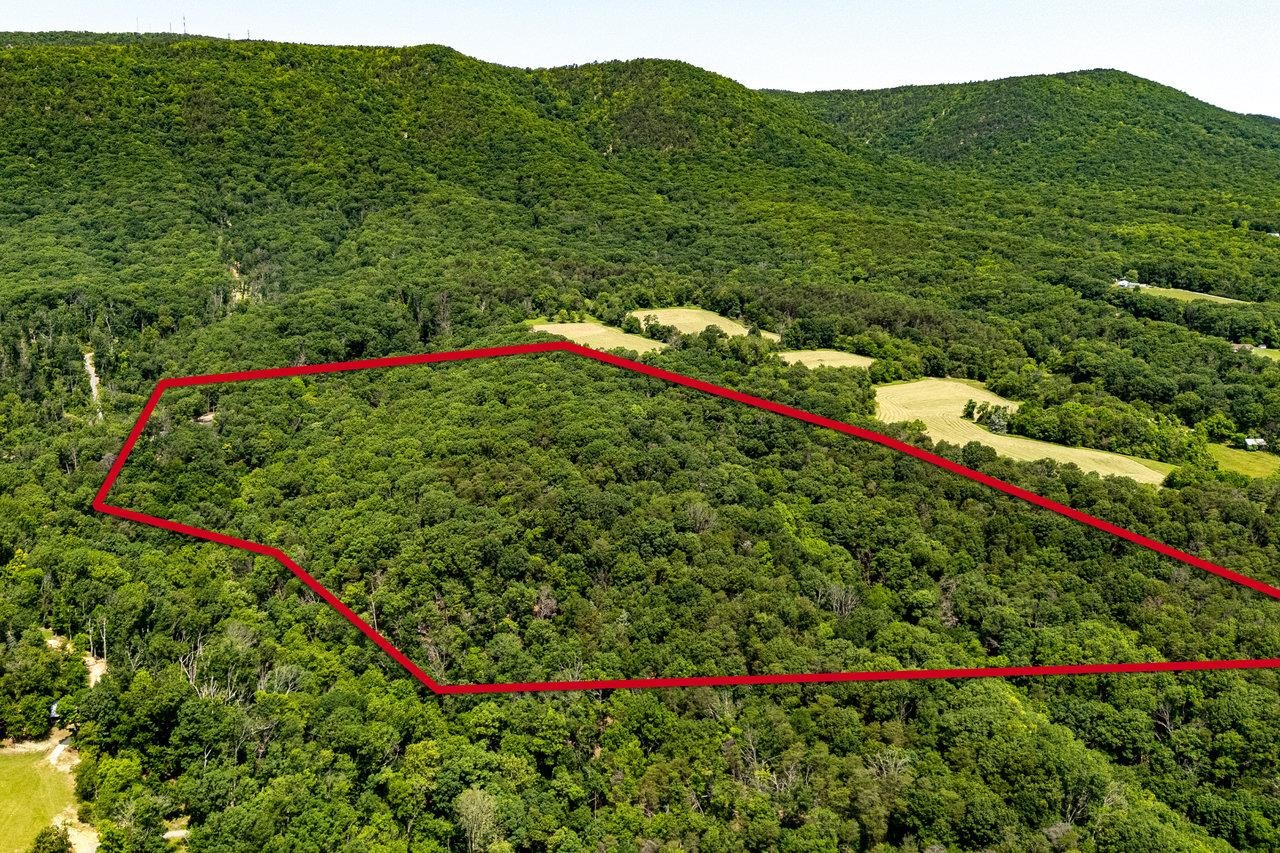 3940 US HWY 340, STANLEY, Virginia 22851, 1 Bedroom Bedrooms, ,2 BathroomsBathrooms,Residential,14,3940 US HWY 340,665496 MLS # 665496 3940 US HWY 340, STANLEY, Virginia 22851, 1 Bedroom Bedrooms, ,2 BathroomsBathrooms,Residential,14,3940 US HWY 340,665496 MLS # 665496