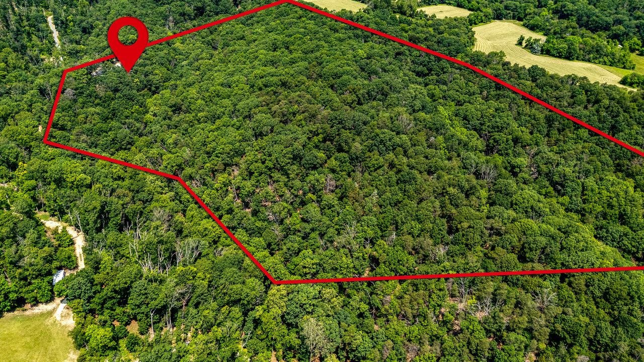 3940 US HWY 340, STANLEY, Virginia 22851, 1 Bedroom Bedrooms, ,2 BathroomsBathrooms,Residential,14,3940 US HWY 340,665496 MLS # 665496 3940 US HWY 340, STANLEY, Virginia 22851, 1 Bedroom Bedrooms, ,2 BathroomsBathrooms,Residential,14,3940 US HWY 340,665496 MLS # 665496