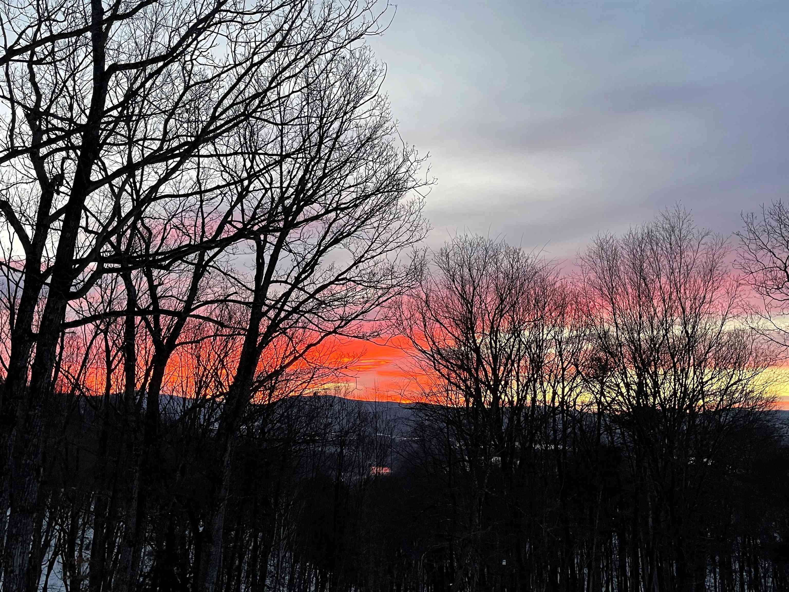 3940 US HWY 340, STANLEY, Virginia 22851, 1 Bedroom Bedrooms, ,2 BathroomsBathrooms,Residential,14,3940 US HWY 340,665496 MLS # 665496 3940 US HWY 340, STANLEY, Virginia 22851, 1 Bedroom Bedrooms, ,2 BathroomsBathrooms,Residential,14,3940 US HWY 340,665496 MLS # 665496