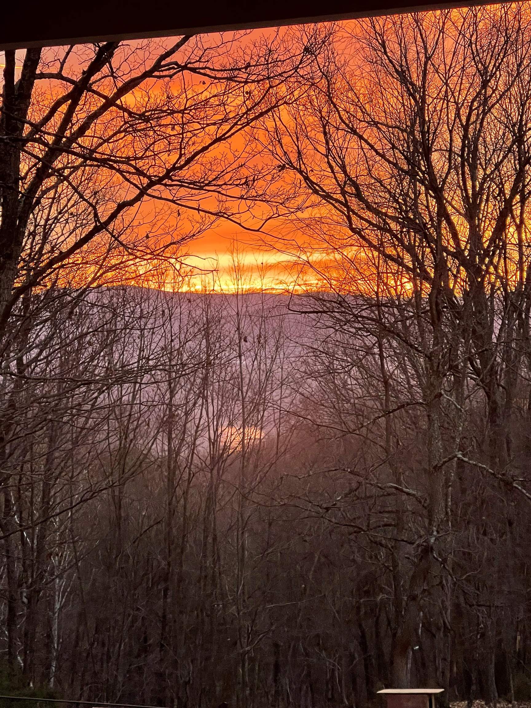 3940 US HWY 340, STANLEY, Virginia 22851, 1 Bedroom Bedrooms, ,2 BathroomsBathrooms,Residential,14,3940 US HWY 340,665496 MLS # 665496 3940 US HWY 340, STANLEY, Virginia 22851, 1 Bedroom Bedrooms, ,2 BathroomsBathrooms,Residential,14,3940 US HWY 340,665496 MLS # 665496