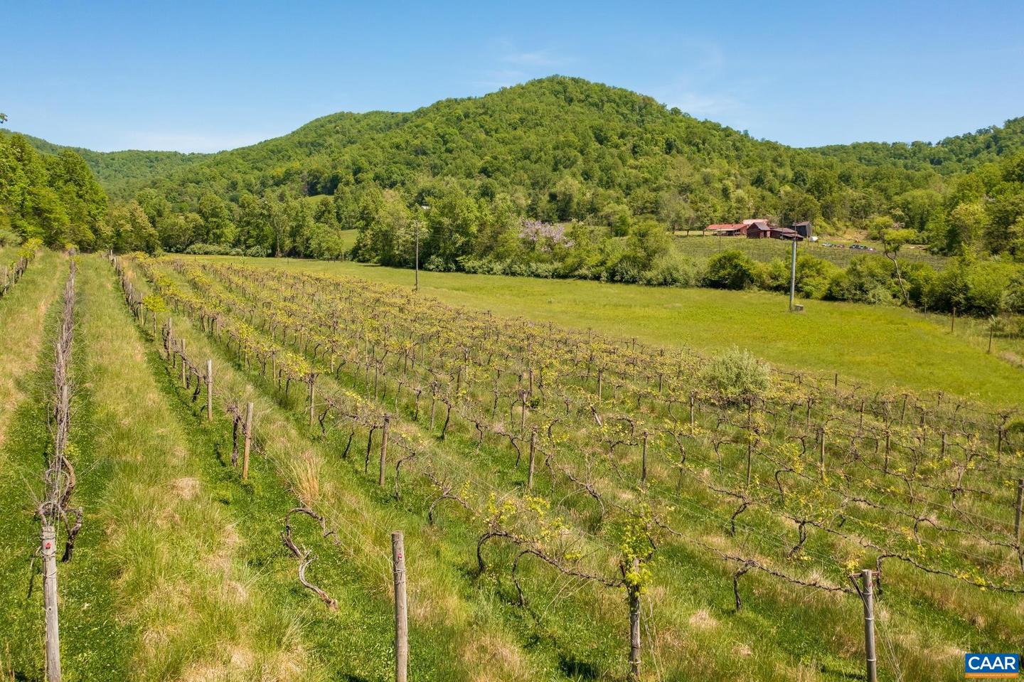 1362 FORTUNES COVE LN, LOVINGSTON, Virginia 22949, 4 Bedrooms Bedrooms, ,2 BathroomsBathrooms,Residential,For Sale,1362 FORTUNES COVE LN,665516 MLS # 665516 1362 FORTUNES COVE LN, LOVINGSTON, Virginia 22949, 4 Bedrooms Bedrooms, ,2 BathroomsBathrooms,Residential,For Sale,1362 FORTUNES COVE LN,665516 MLS # 665516