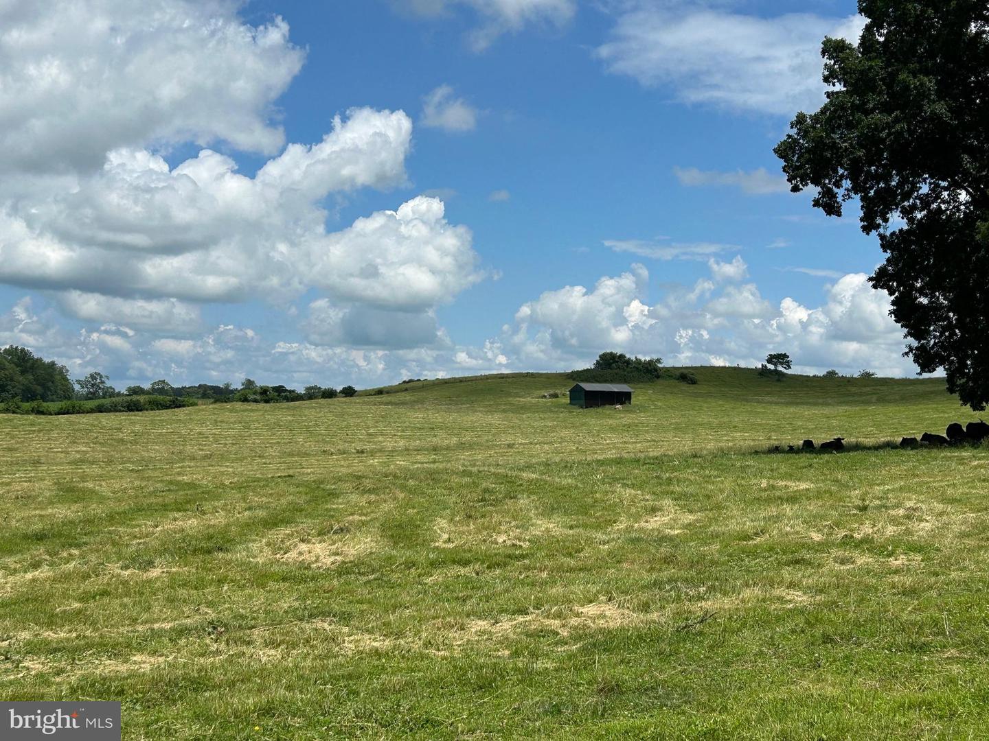 10674 ADA RD, MARSHALL, Virginia 20115, 1 Bedroom Bedrooms, ,1 BathroomBathrooms,Farm,For Sale,10674 ADA RD,VAFQ2016990 MLS # VAFQ2016990 10674 ADA RD, MARSHALL, Virginia 20115, 1 Bedroom Bedrooms, ,1 BathroomBathrooms,Farm,For Sale,10674 ADA RD,VAFQ2016990 MLS # VAFQ2016990