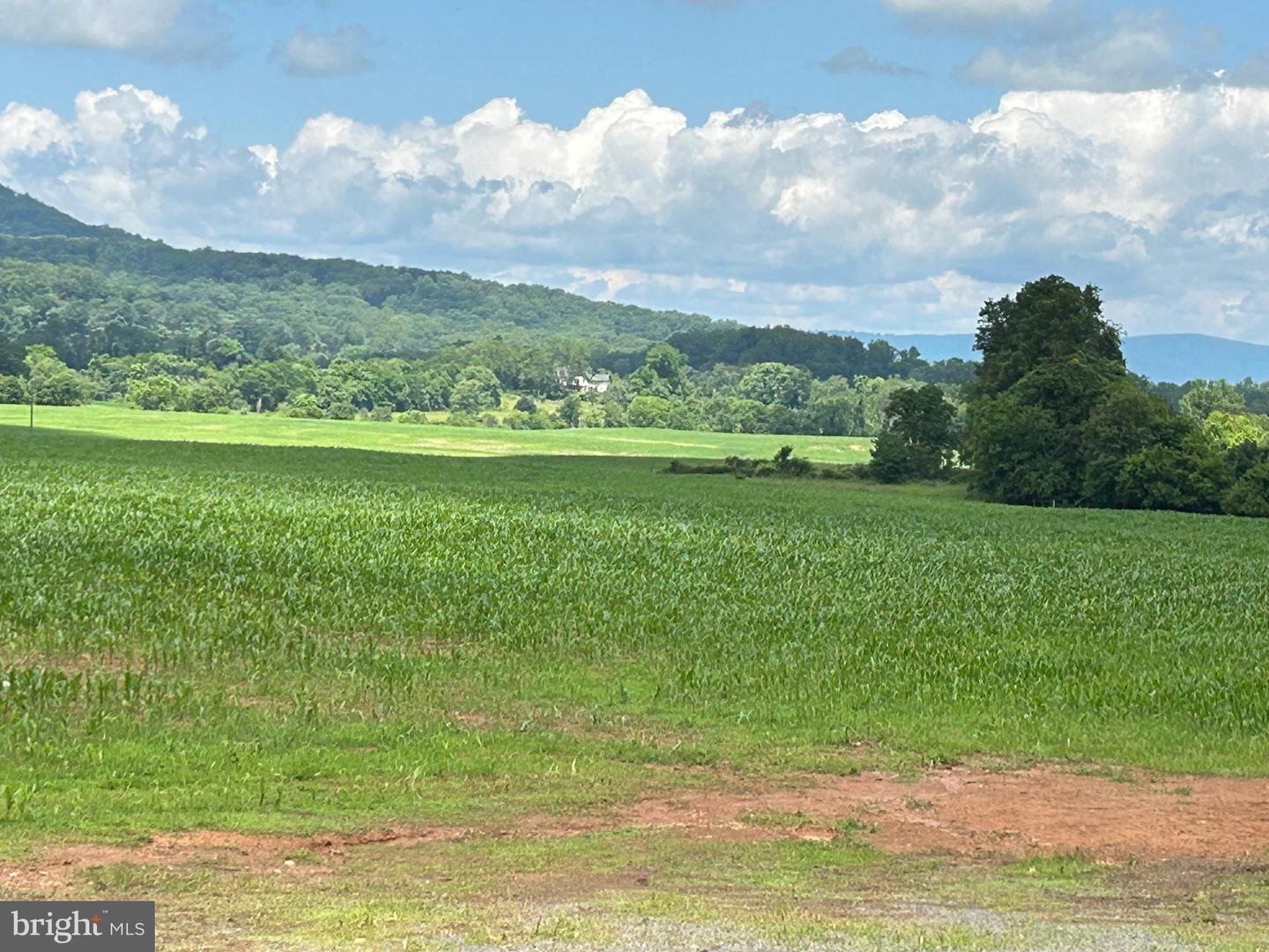 10674 ADA RD, MARSHALL, Virginia 20115, 1 Bedroom Bedrooms, ,1 BathroomBathrooms,Farm,For Sale,10674 ADA RD,VAFQ2016990 MLS # VAFQ2016990 10674 ADA RD, MARSHALL, Virginia 20115, 1 Bedroom Bedrooms, ,1 BathroomBathrooms,Farm,For Sale,10674 ADA RD,VAFQ2016990 MLS # VAFQ2016990