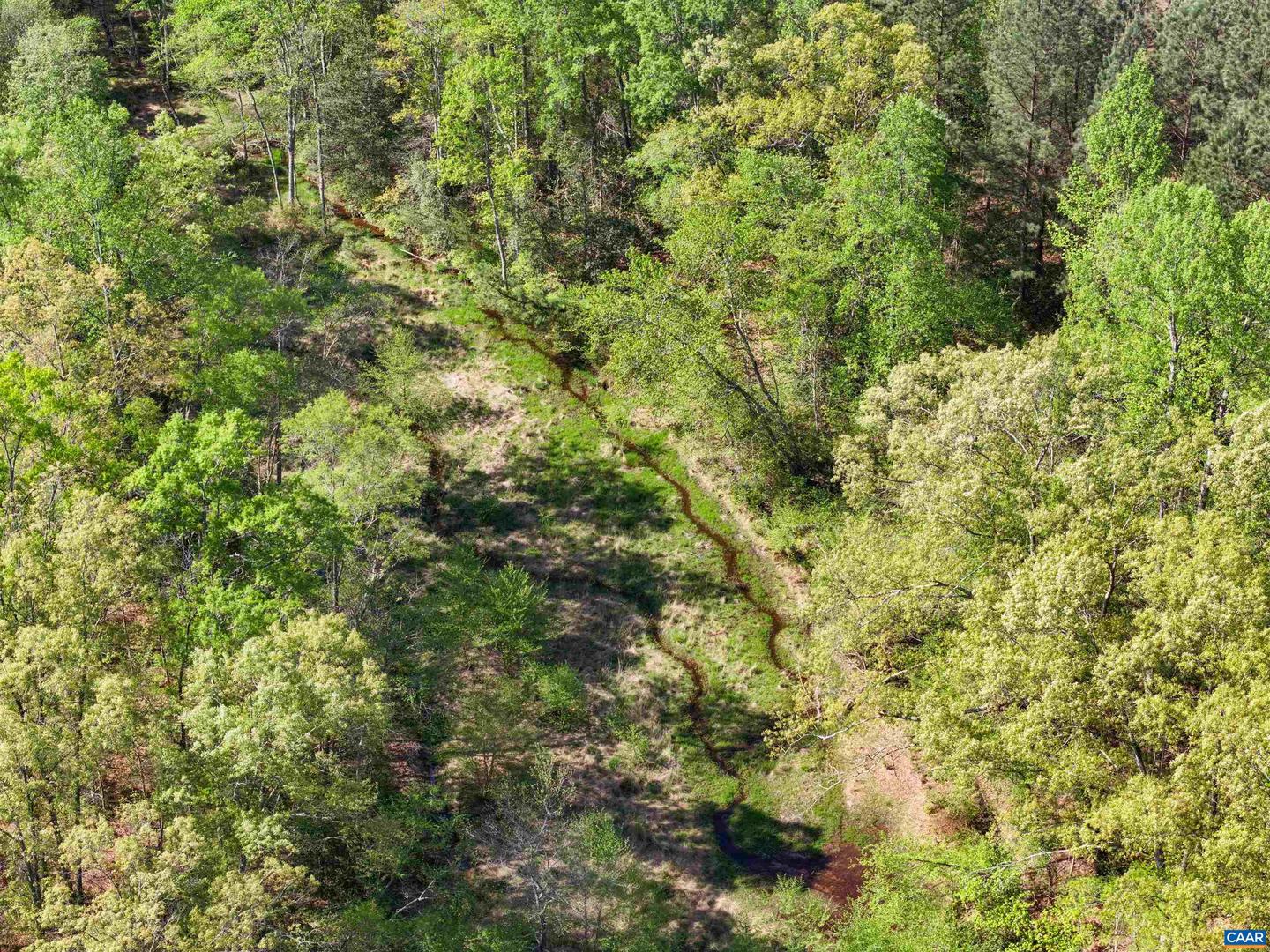 4048 OLD GRAIN RD, CORBIN, Virginia 22446, ,Farm,For Sale,4048 OLD GRAIN RD,665570 MLS # 665570 4048 OLD GRAIN RD, CORBIN, Virginia 22446, ,Farm,For Sale,4048 OLD GRAIN RD,665570 MLS # 665570