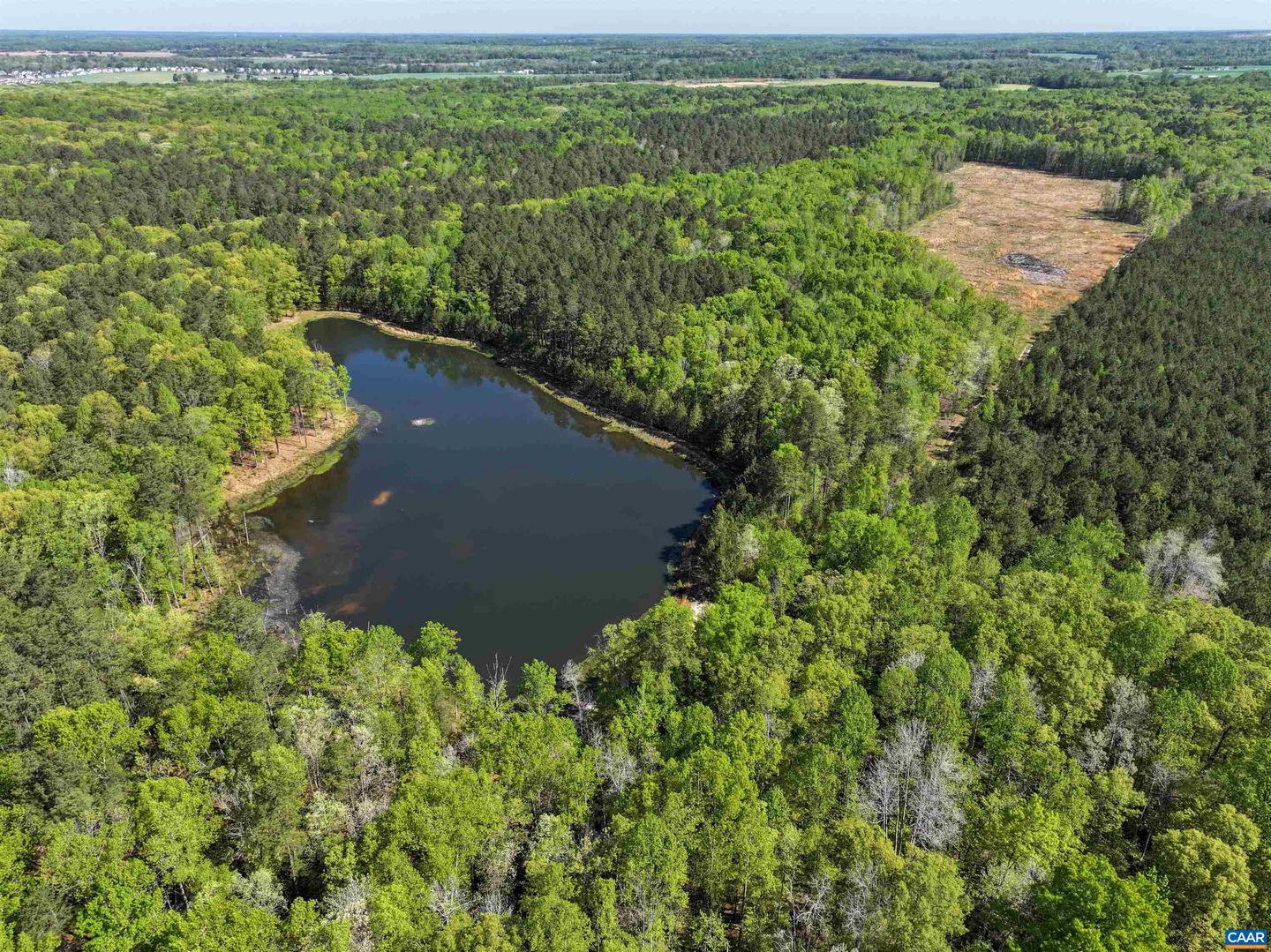 4048 OLD GRAIN RD, CORBIN, Virginia 22446, ,Farm,For Sale,4048 OLD GRAIN RD,665570 MLS # 665570 4048 OLD GRAIN RD, CORBIN, Virginia 22446, ,Farm,For Sale,4048 OLD GRAIN RD,665570 MLS # 665570