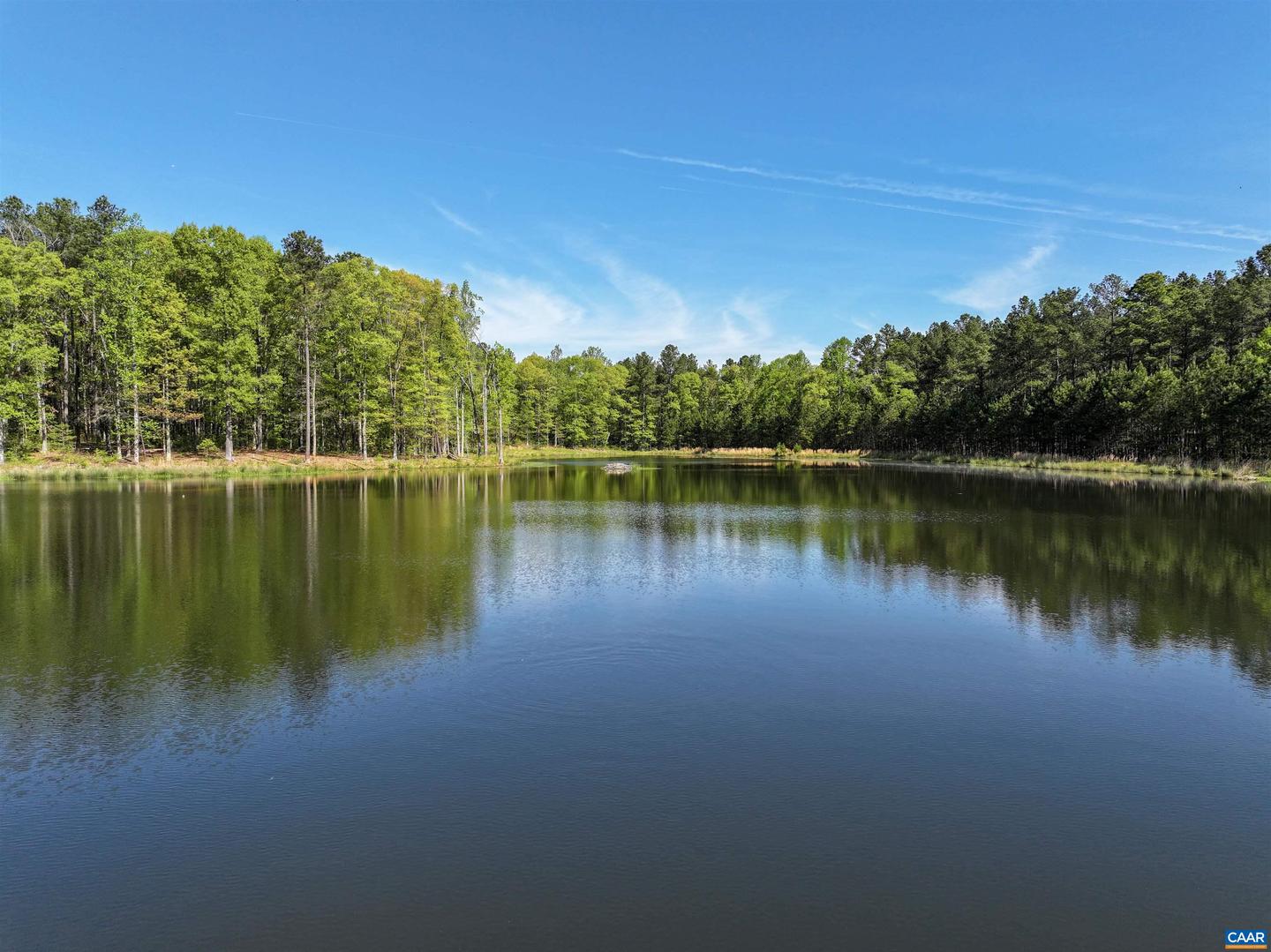 4048 OLD GRAIN RD, CORBIN, Virginia 22446, ,Farm,For Sale,4048 OLD GRAIN RD,665570 MLS # 665570 4048 OLD GRAIN RD, CORBIN, Virginia 22446, ,Farm,For Sale,4048 OLD GRAIN RD,665570 MLS # 665570