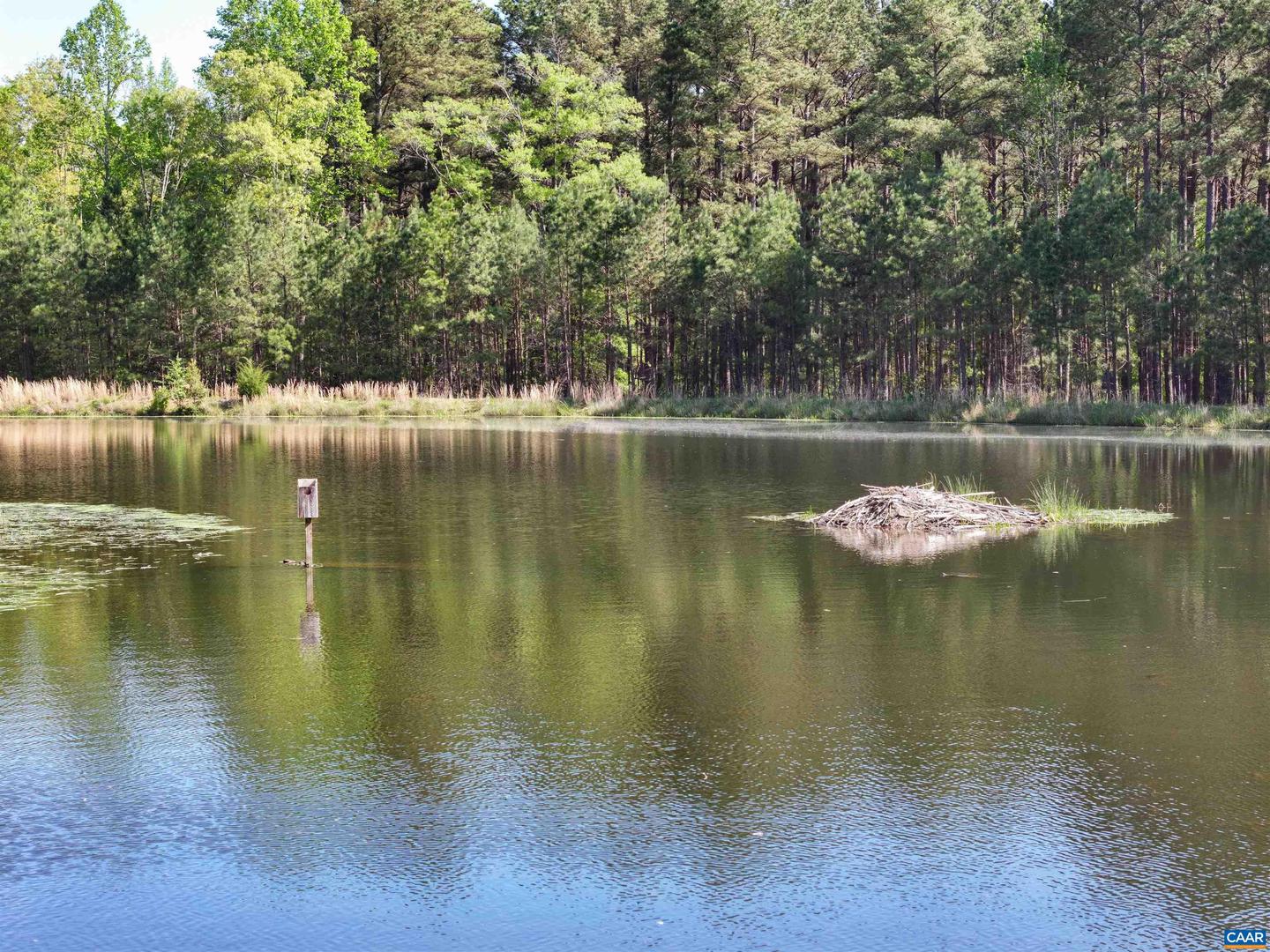 4048 OLD GRAIN RD, CORBIN, Virginia 22446, ,Farm,For Sale,4048 OLD GRAIN RD,665570 MLS # 665570 4048 OLD GRAIN RD, CORBIN, Virginia 22446, ,Farm,For Sale,4048 OLD GRAIN RD,665570 MLS # 665570