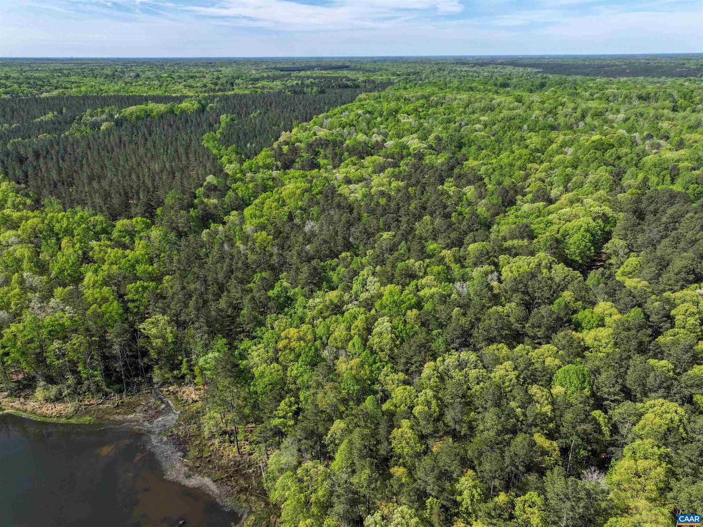 4048 OLD GRAIN RD, CORBIN, Virginia 22446, ,Farm,For Sale,4048 OLD GRAIN RD,665570 MLS # 665570 4048 OLD GRAIN RD, CORBIN, Virginia 22446, ,Farm,For Sale,4048 OLD GRAIN RD,665570 MLS # 665570