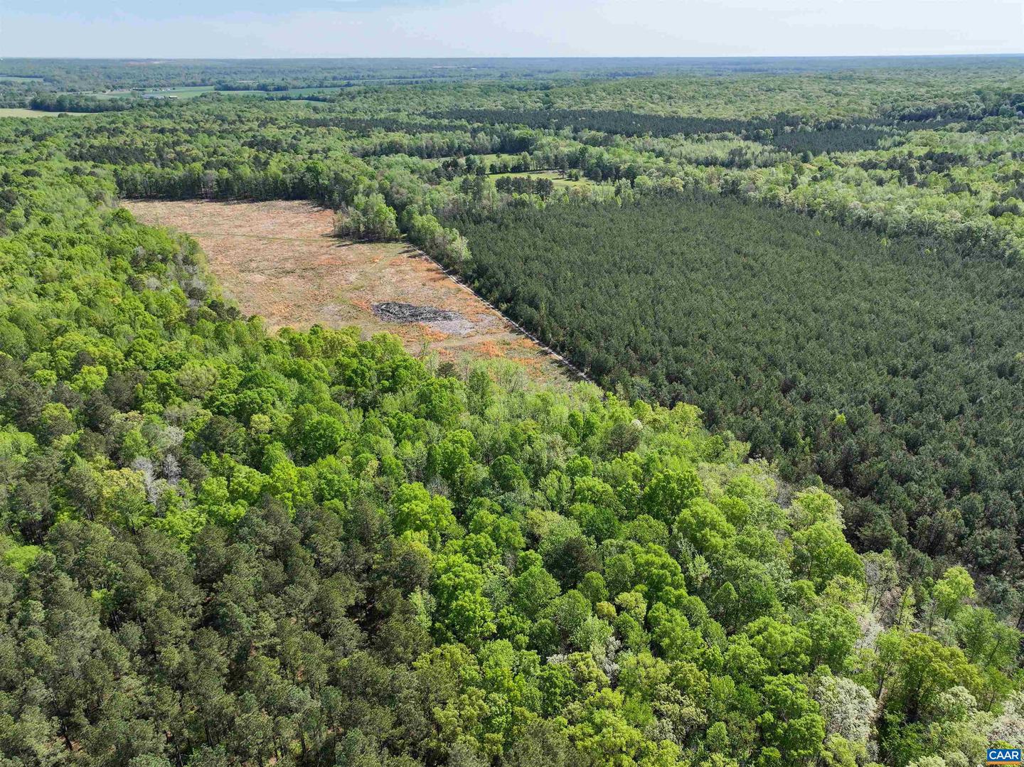 4048 OLD GRAIN RD, CORBIN, Virginia 22446, ,Farm,For Sale,4048 OLD GRAIN RD,665570 MLS # 665570 4048 OLD GRAIN RD, CORBIN, Virginia 22446, ,Farm,For Sale,4048 OLD GRAIN RD,665570 MLS # 665570