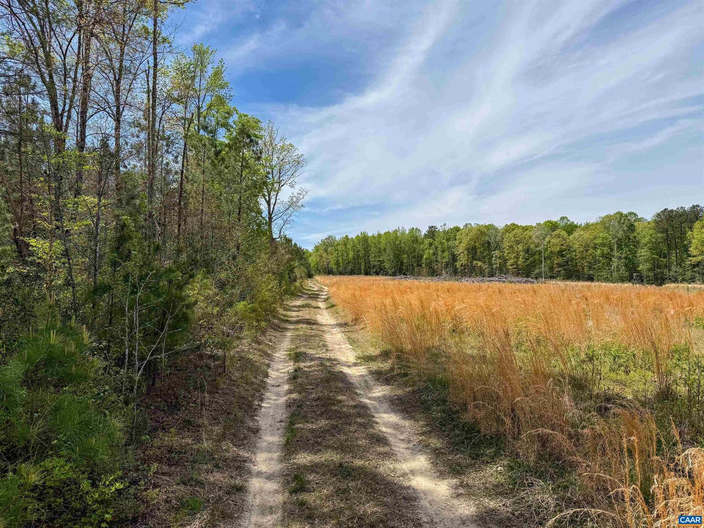 4048 OLD GRAIN RD, CORBIN, Virginia 22446, ,Farm,For Sale,4048 OLD GRAIN RD,665570 MLS # 665570 4048 OLD GRAIN RD, CORBIN, Virginia 22446, ,Farm,For Sale,4048 OLD GRAIN RD,665570 MLS # 665570
