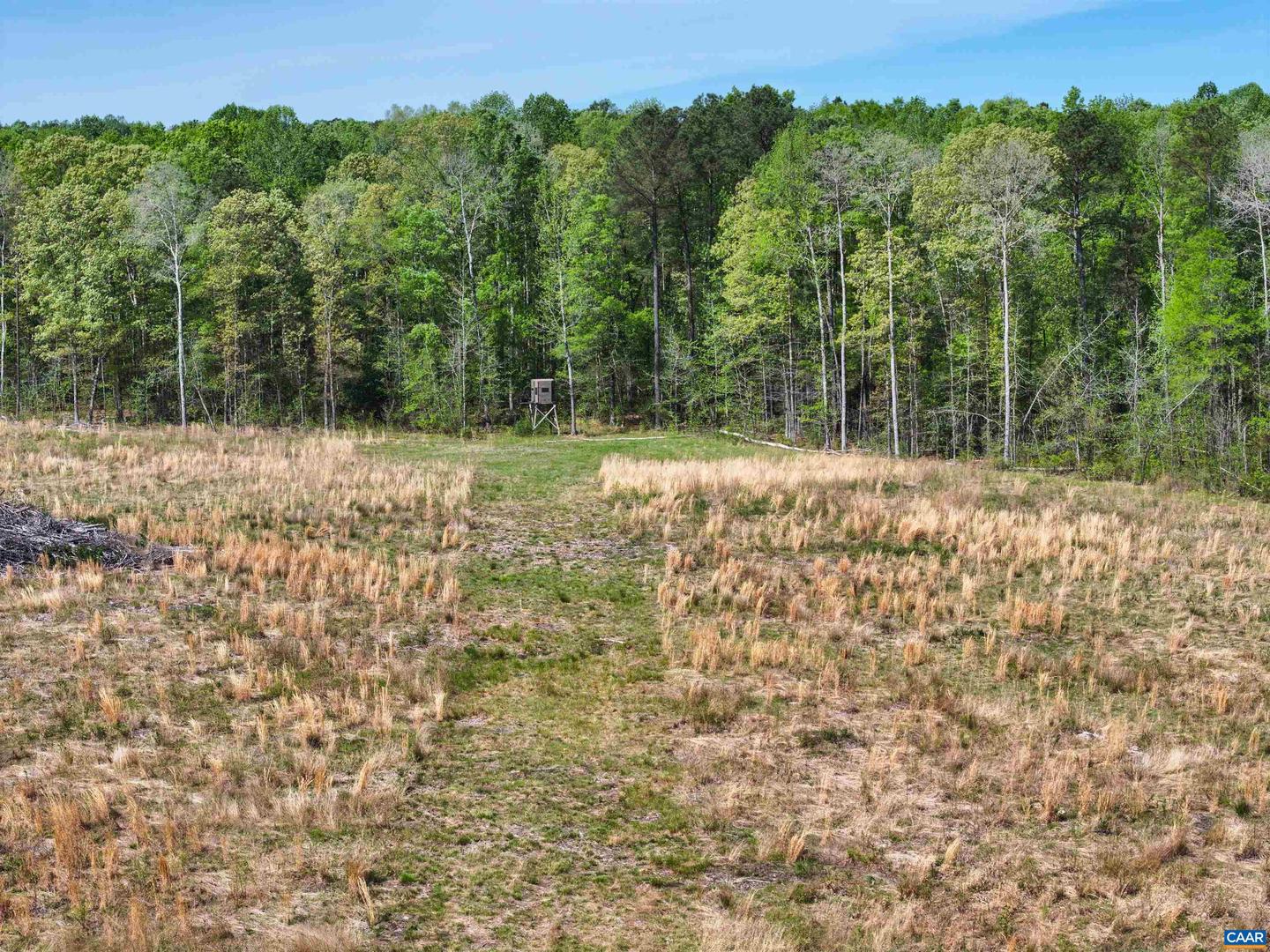 4048 OLD GRAIN RD, CORBIN, Virginia 22446, ,Farm,For Sale,4048 OLD GRAIN RD,665570 MLS # 665570 4048 OLD GRAIN RD, CORBIN, Virginia 22446, ,Farm,For Sale,4048 OLD GRAIN RD,665570 MLS # 665570