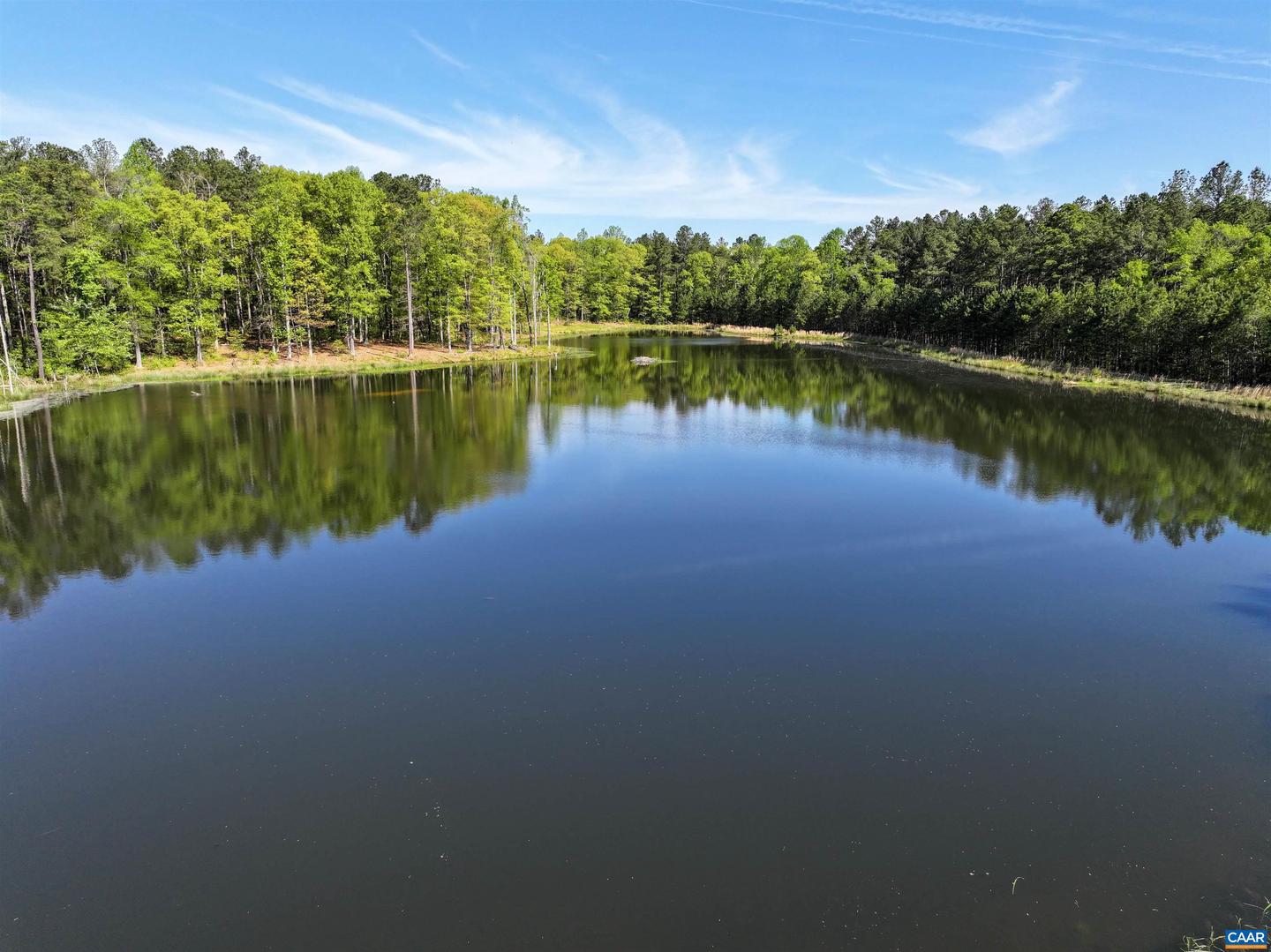 4048 OLD GRAIN RD, CORBIN, Virginia 22446, ,Farm,For Sale,4048 OLD GRAIN RD,665570 MLS # 665570 4048 OLD GRAIN RD, CORBIN, Virginia 22446, ,Farm,For Sale,4048 OLD GRAIN RD,665570 MLS # 665570