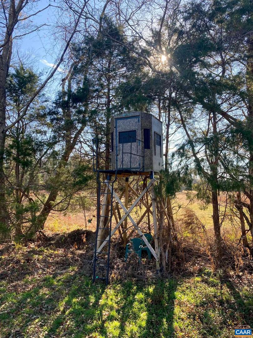 4048 OLD GRAIN RD, CORBIN, Virginia 22446, ,Farm,For Sale,4048 OLD GRAIN RD,665570 MLS # 665570 4048 OLD GRAIN RD, CORBIN, Virginia 22446, ,Farm,For Sale,4048 OLD GRAIN RD,665570 MLS # 665570