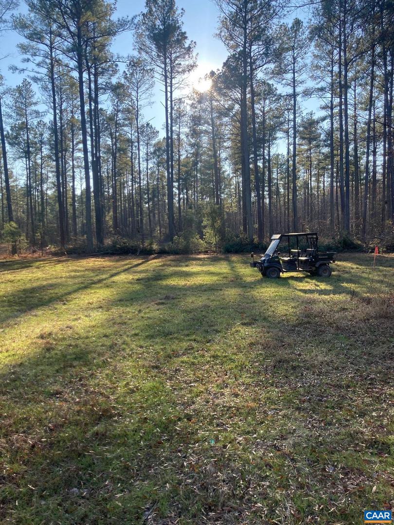 4048 OLD GRAIN RD, CORBIN, Virginia 22446, ,Farm,For Sale,4048 OLD GRAIN RD,665570 MLS # 665570 4048 OLD GRAIN RD, CORBIN, Virginia 22446, ,Farm,For Sale,4048 OLD GRAIN RD,665570 MLS # 665570