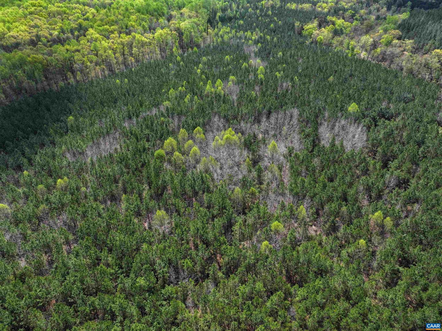 4048 OLD GRAIN RD, CORBIN, Virginia 22446, ,Farm,For Sale,4048 OLD GRAIN RD,665570 MLS # 665570 4048 OLD GRAIN RD, CORBIN, Virginia 22446, ,Farm,For Sale,4048 OLD GRAIN RD,665570 MLS # 665570