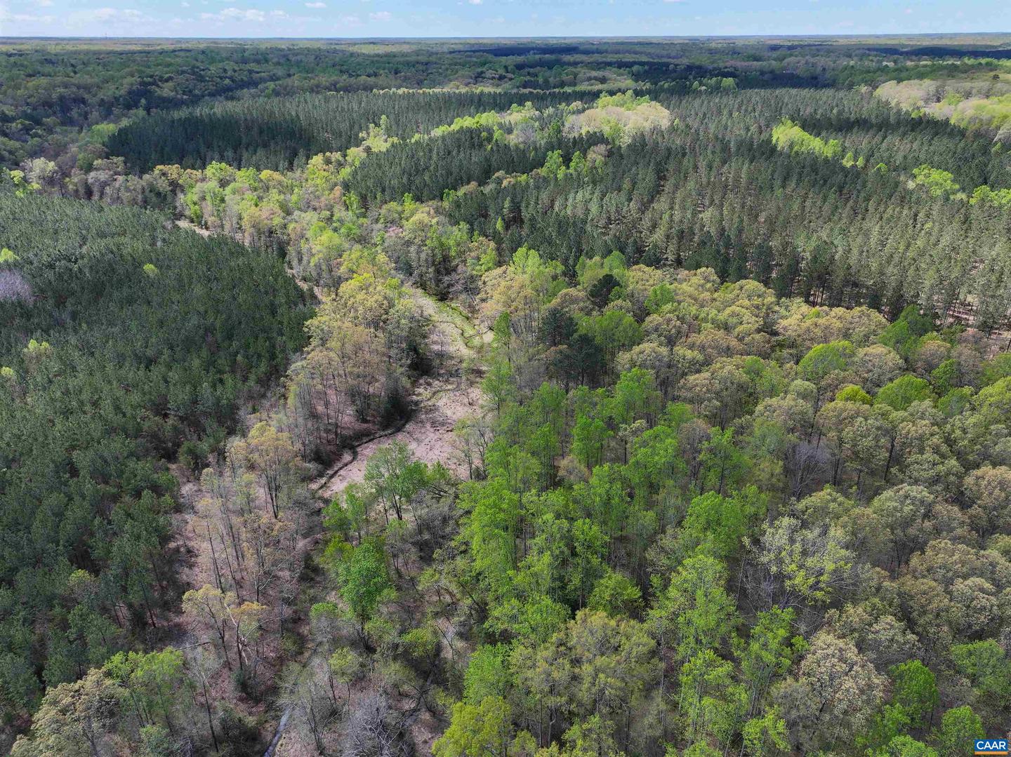 4048 OLD GRAIN RD, CORBIN, Virginia 22446, ,Farm,For Sale,4048 OLD GRAIN RD,665570 MLS # 665570 4048 OLD GRAIN RD, CORBIN, Virginia 22446, ,Farm,For Sale,4048 OLD GRAIN RD,665570 MLS # 665570