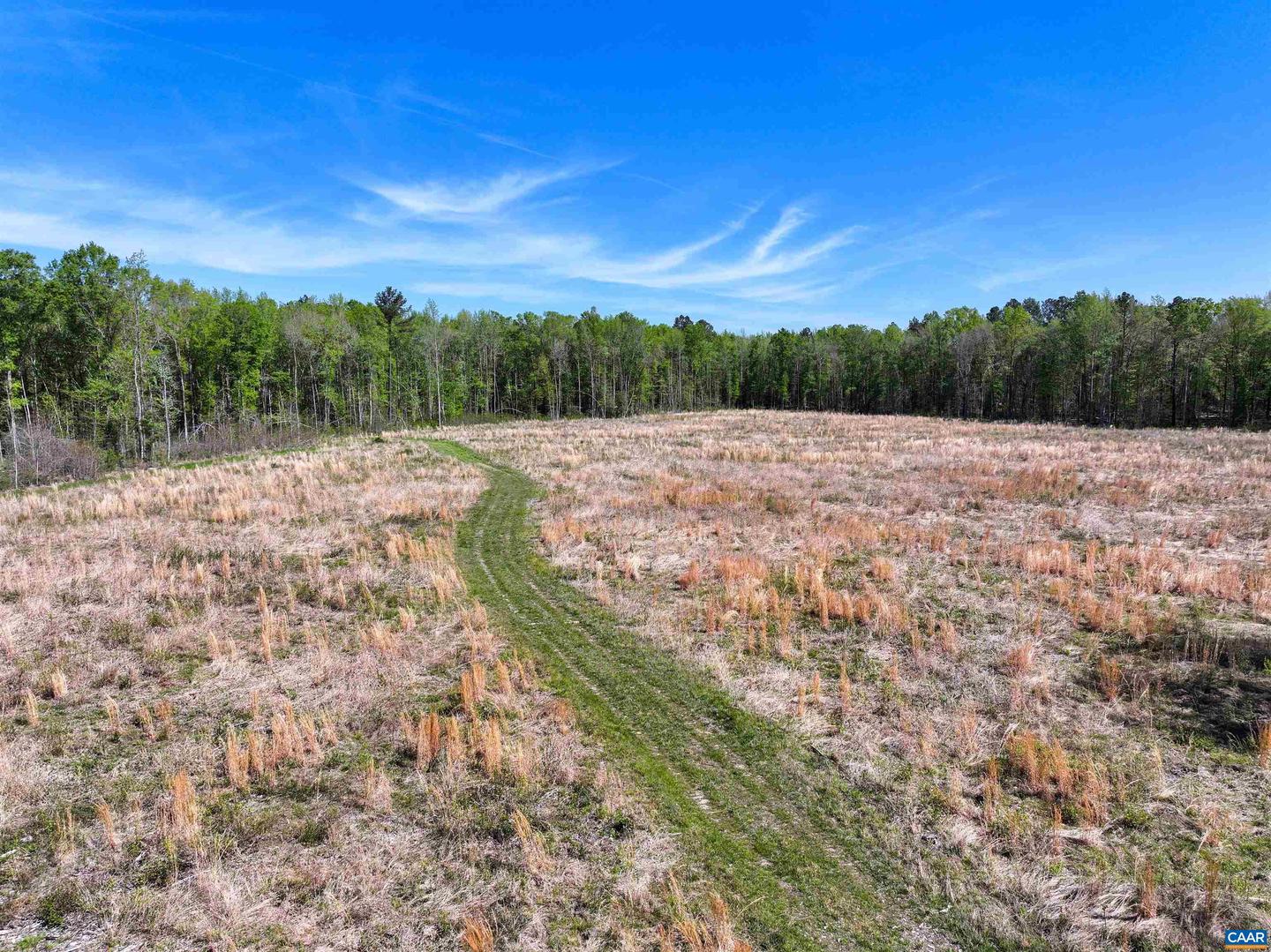 4048 OLD GRAIN RD, CORBIN, Virginia 22446, ,Farm,For Sale,4048 OLD GRAIN RD,665570 MLS # 665570 4048 OLD GRAIN RD, CORBIN, Virginia 22446, ,Farm,For Sale,4048 OLD GRAIN RD,665570 MLS # 665570