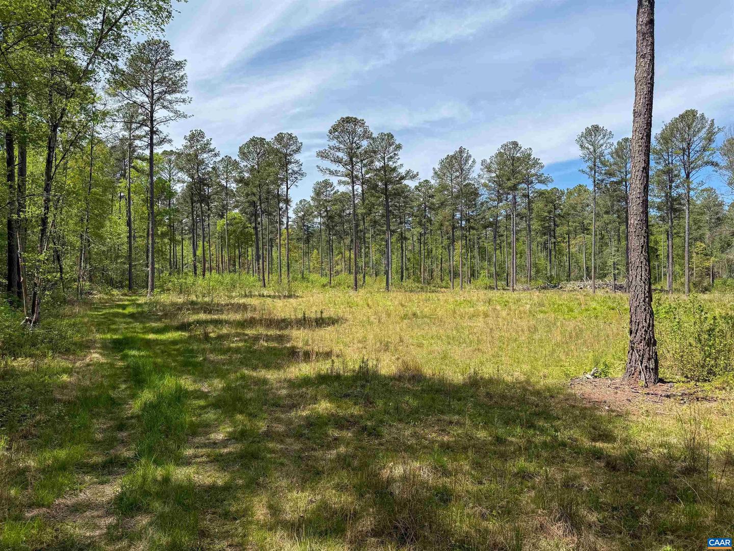 4048 OLD GRAIN RD, CORBIN, Virginia 22446, ,Farm,For Sale,4048 OLD GRAIN RD,665570 MLS # 665570 4048 OLD GRAIN RD, CORBIN, Virginia 22446, ,Farm,For Sale,4048 OLD GRAIN RD,665570 MLS # 665570