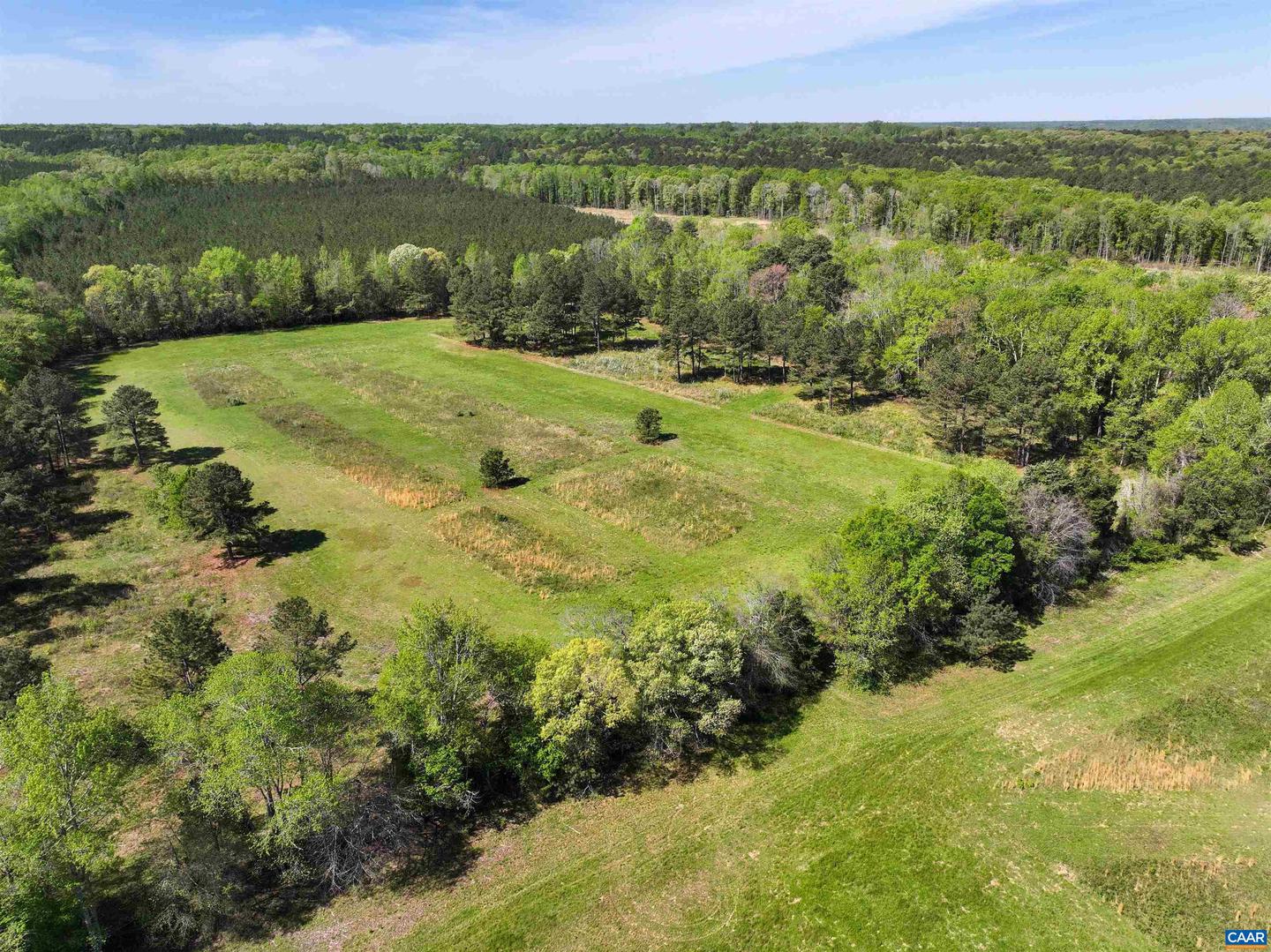 4048 OLD GRAIN RD, CORBIN, Virginia 22446, ,Farm,For Sale,4048 OLD GRAIN RD,665570 MLS # 665570 4048 OLD GRAIN RD, CORBIN, Virginia 22446, ,Farm,For Sale,4048 OLD GRAIN RD,665570 MLS # 665570