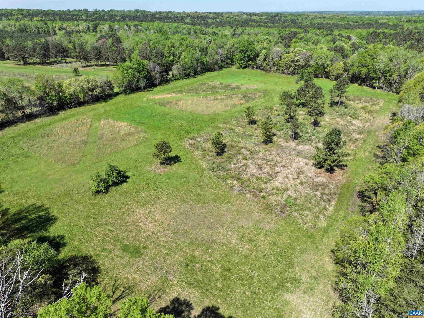 4048 OLD GRAIN RD, CORBIN, Virginia 22446, ,Farm,For Sale,4048 OLD GRAIN RD,665570 MLS # 665570 4048 OLD GRAIN RD, CORBIN, Virginia 22446, ,Farm,For Sale,4048 OLD GRAIN RD,665570 MLS # 665570