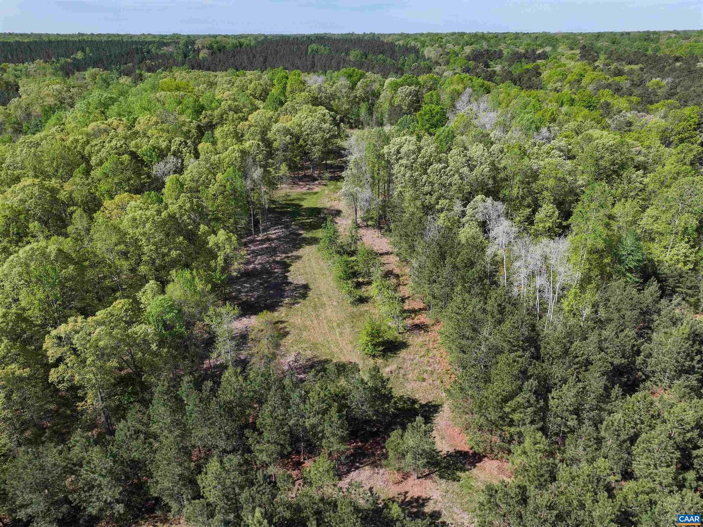 4048 OLD GRAIN RD, CORBIN, Virginia 22446, ,Farm,For Sale,4048 OLD GRAIN RD,665570 MLS # 665570 4048 OLD GRAIN RD, CORBIN, Virginia 22446, ,Farm,For Sale,4048 OLD GRAIN RD,665570 MLS # 665570