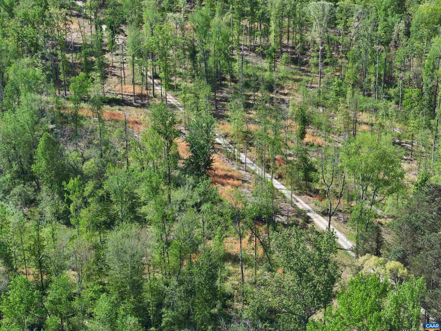 4048 OLD GRAIN RD, CORBIN, Virginia 22446, ,Farm,For Sale,4048 OLD GRAIN RD,665570 MLS # 665570 4048 OLD GRAIN RD, CORBIN, Virginia 22446, ,Farm,For Sale,4048 OLD GRAIN RD,665570 MLS # 665570