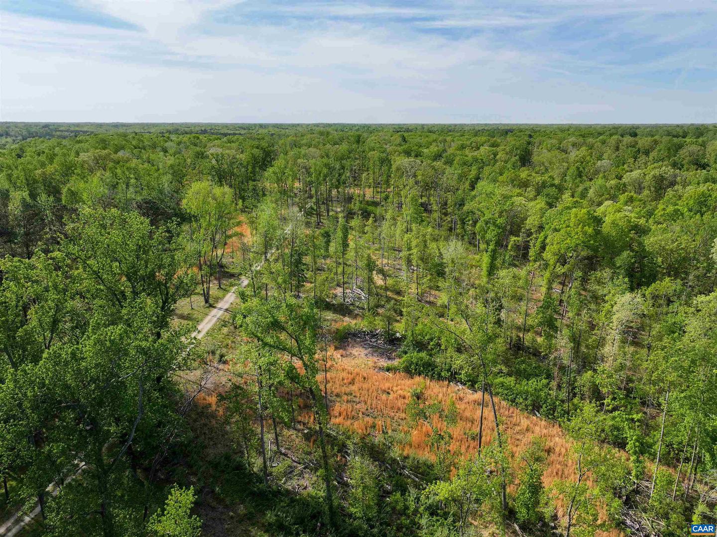 4048 OLD GRAIN RD, CORBIN, Virginia 22446, ,Farm,For Sale,4048 OLD GRAIN RD,665570 MLS # 665570 4048 OLD GRAIN RD, CORBIN, Virginia 22446, ,Farm,For Sale,4048 OLD GRAIN RD,665570 MLS # 665570