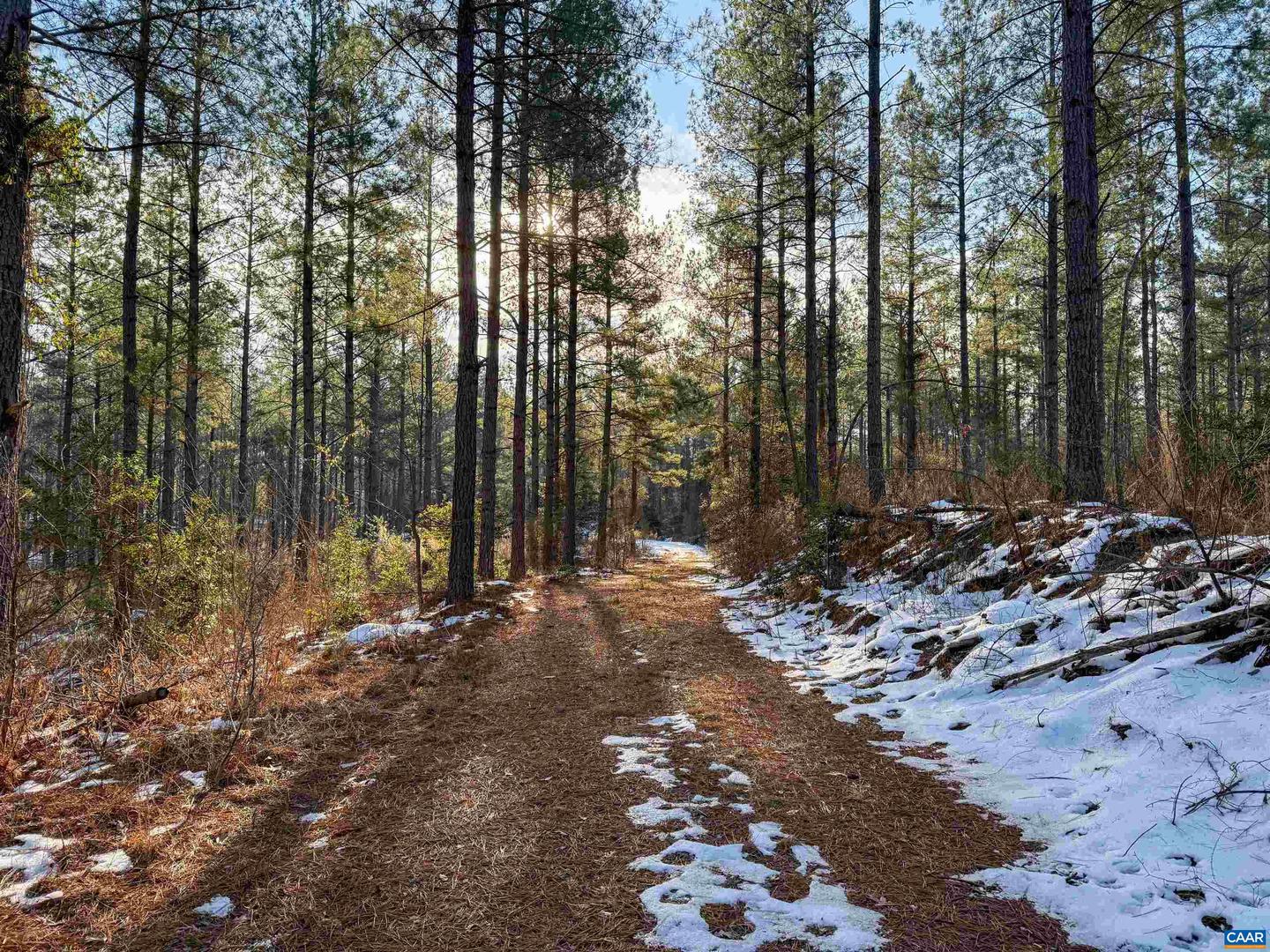 4048 OLD GRAIN RD, CORBIN, Virginia 22446, ,Farm,For Sale,4048 OLD GRAIN RD,665570 MLS # 665570 4048 OLD GRAIN RD, CORBIN, Virginia 22446, ,Farm,For Sale,4048 OLD GRAIN RD,665570 MLS # 665570